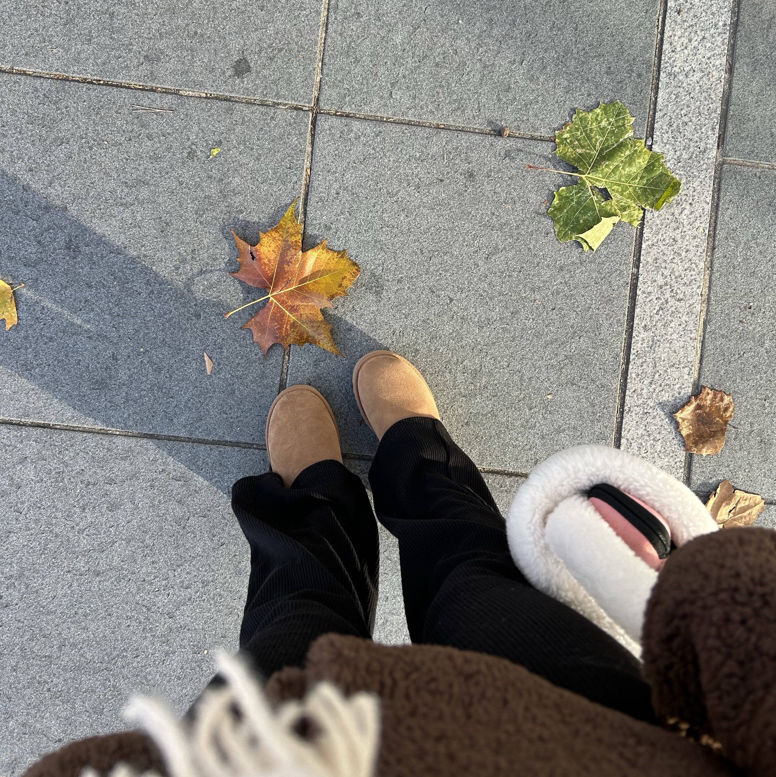 (W) UGG Classic Ultra Mini Boots Chestnut 착용 스타일