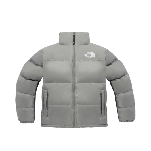 The North Face Nuptse On Ball Jacket Gray - 24FW