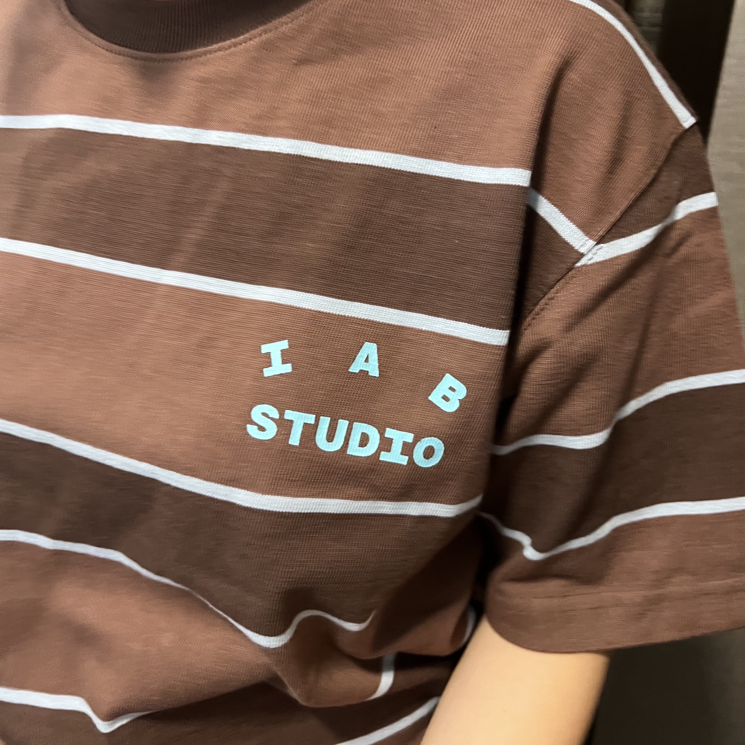 IAB Studio Striped T-Shirt Brown 착용 스타일 - 1