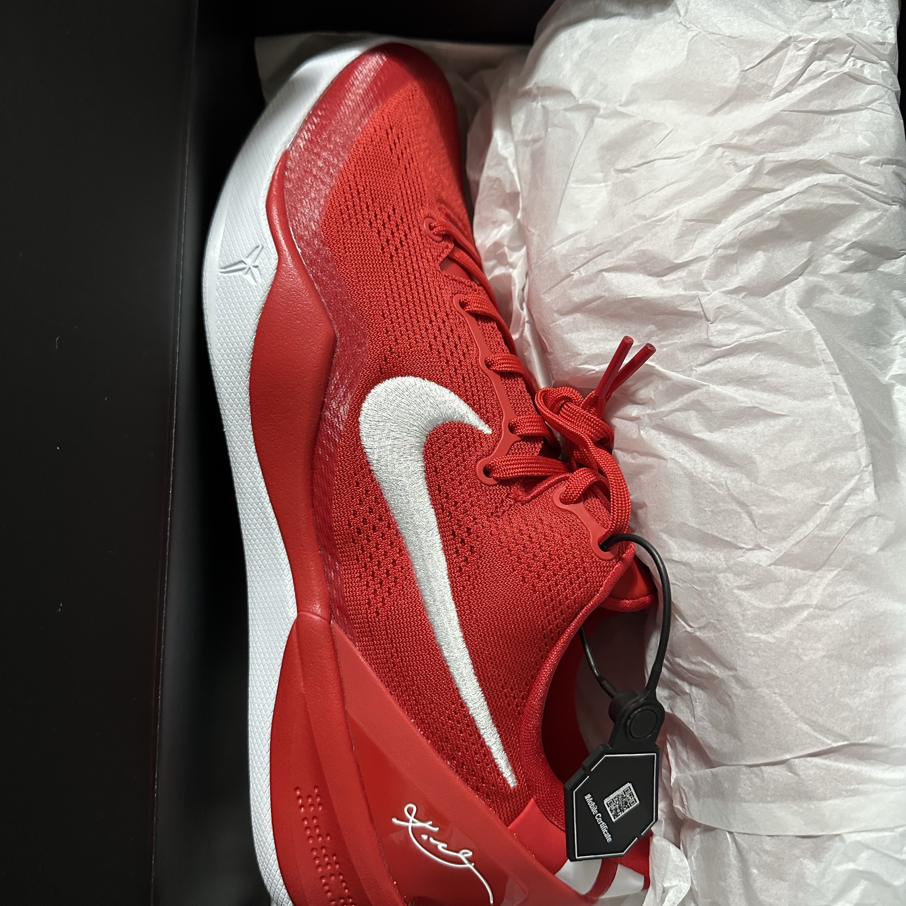 Nike Kobe 8 Protro University Red White 착용 스타일