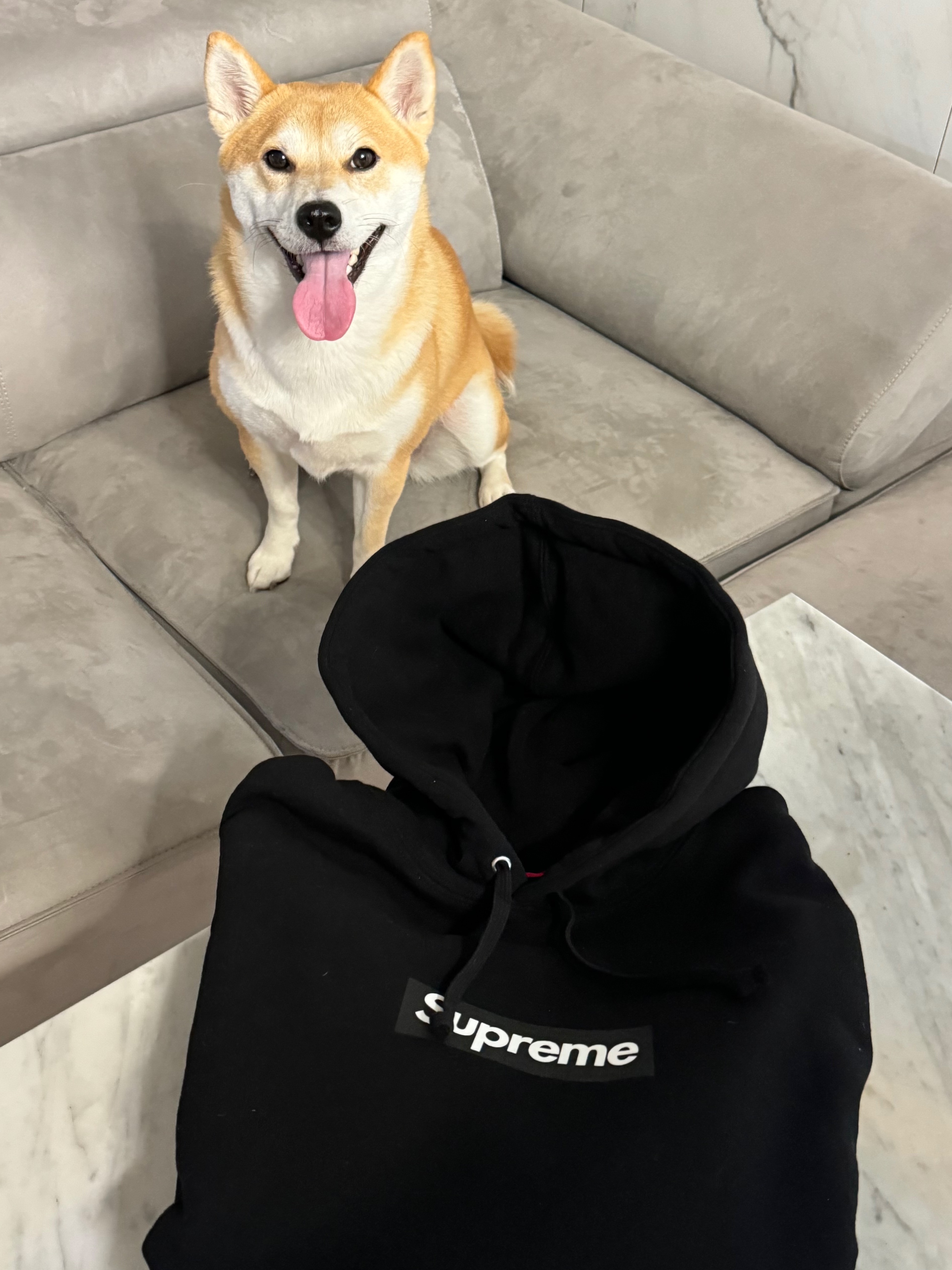 Supreme Seoul Box Logo Hooded Sweatshirt Black - 23FW 착용 스타일 - 3