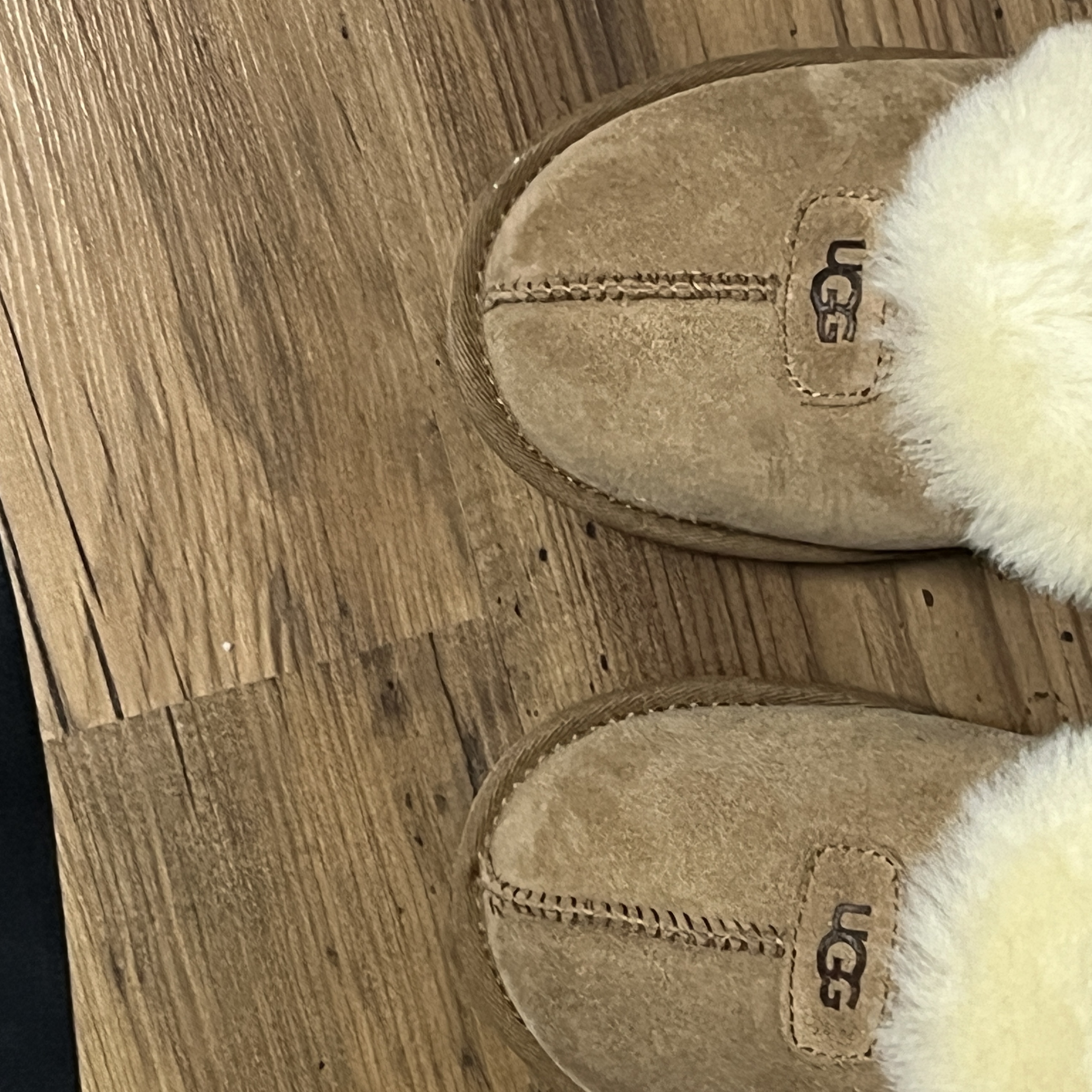 (W) UGG Coquette Slipper Chestnut 착용 스타일