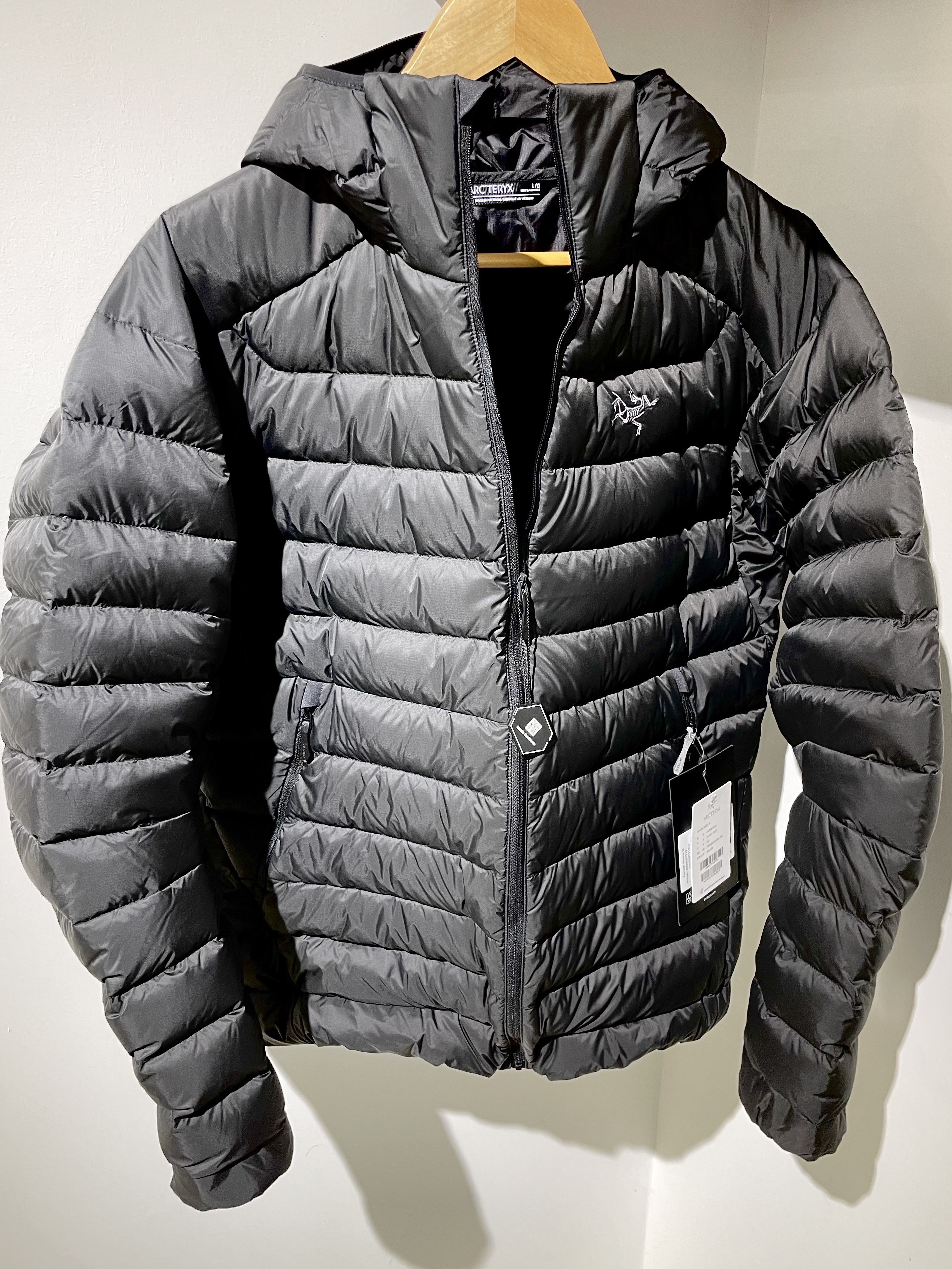 Arc'teryx Cerium Hoody Black 착용 스타일