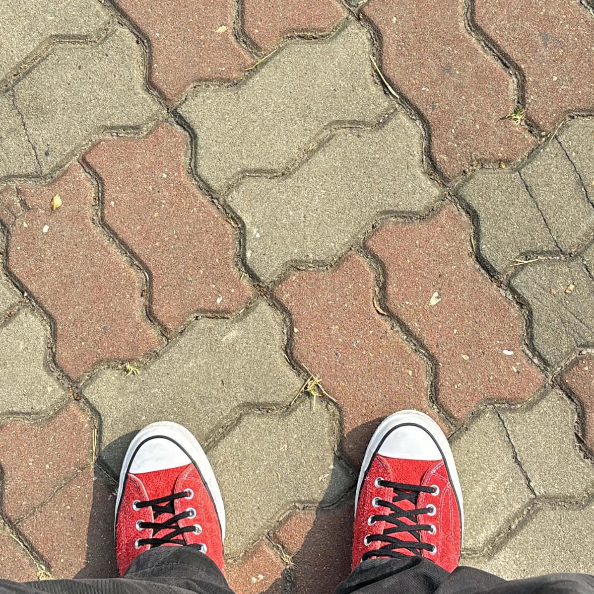 Converse x Stussy Chuck 70 Ox Poppy Red 착용 스타일