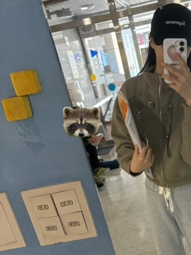 스타일 카드
