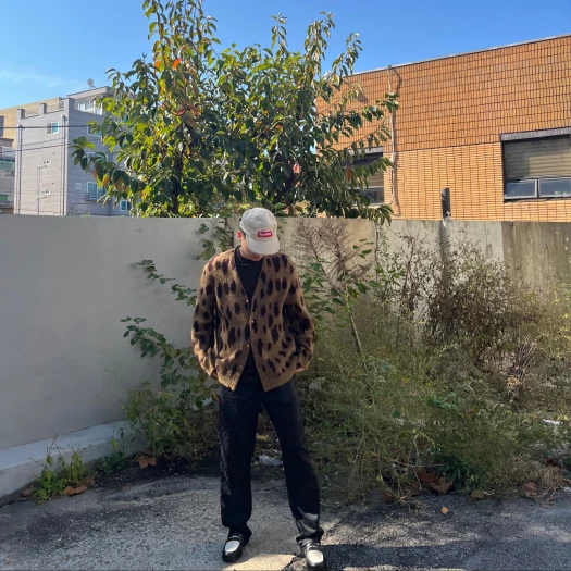 스타일 카드