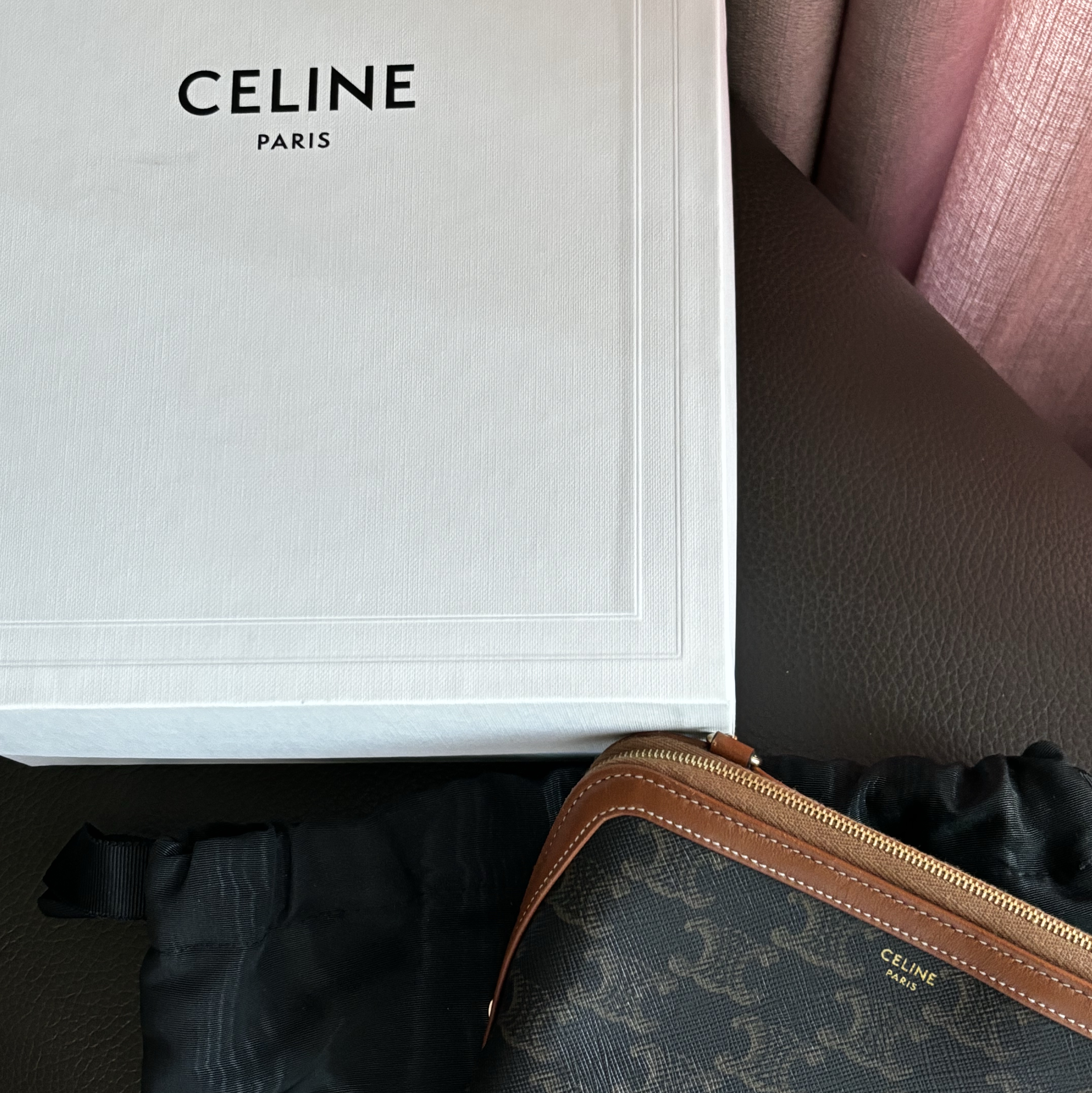 Celine Clutch with Chain in Triomphe Canvas and Lambskin Tan 착용 스타일