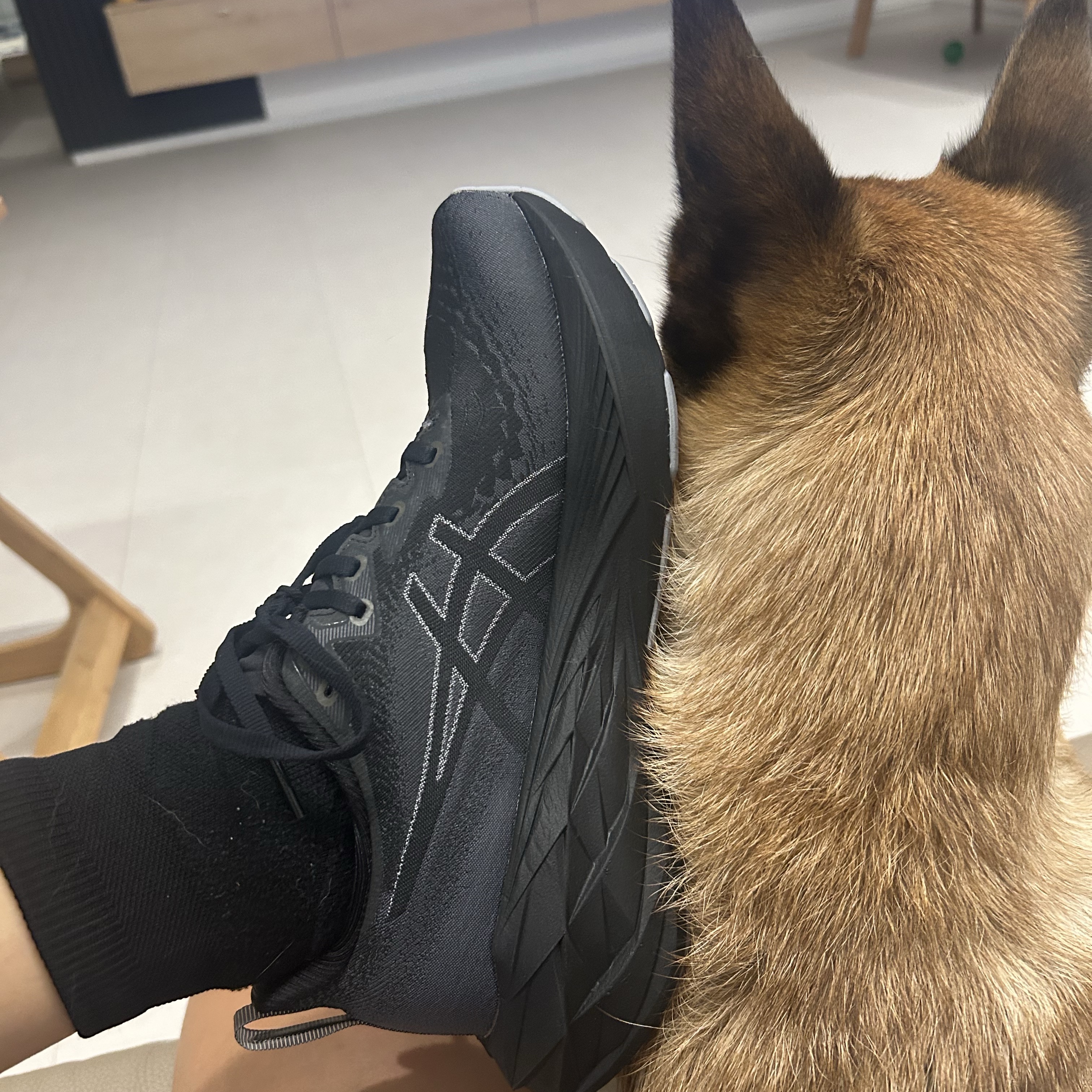 Asics Novablast 4 Black Graphite Grey 착용 스타일 - 1