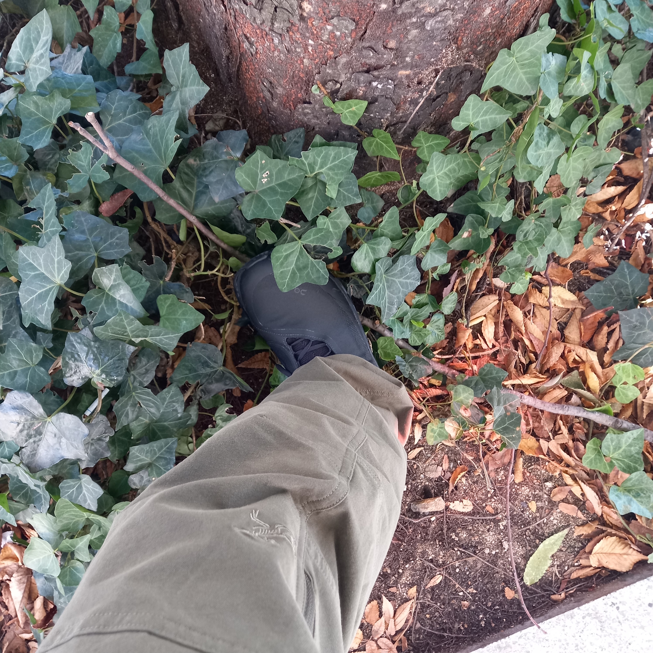 On Running x Post Archive Faction (Paf) Cloudmonster 2 Black Magnet, Arc'teryx Cronin Cotton Pants Tatsu 착용 스타일 - 2