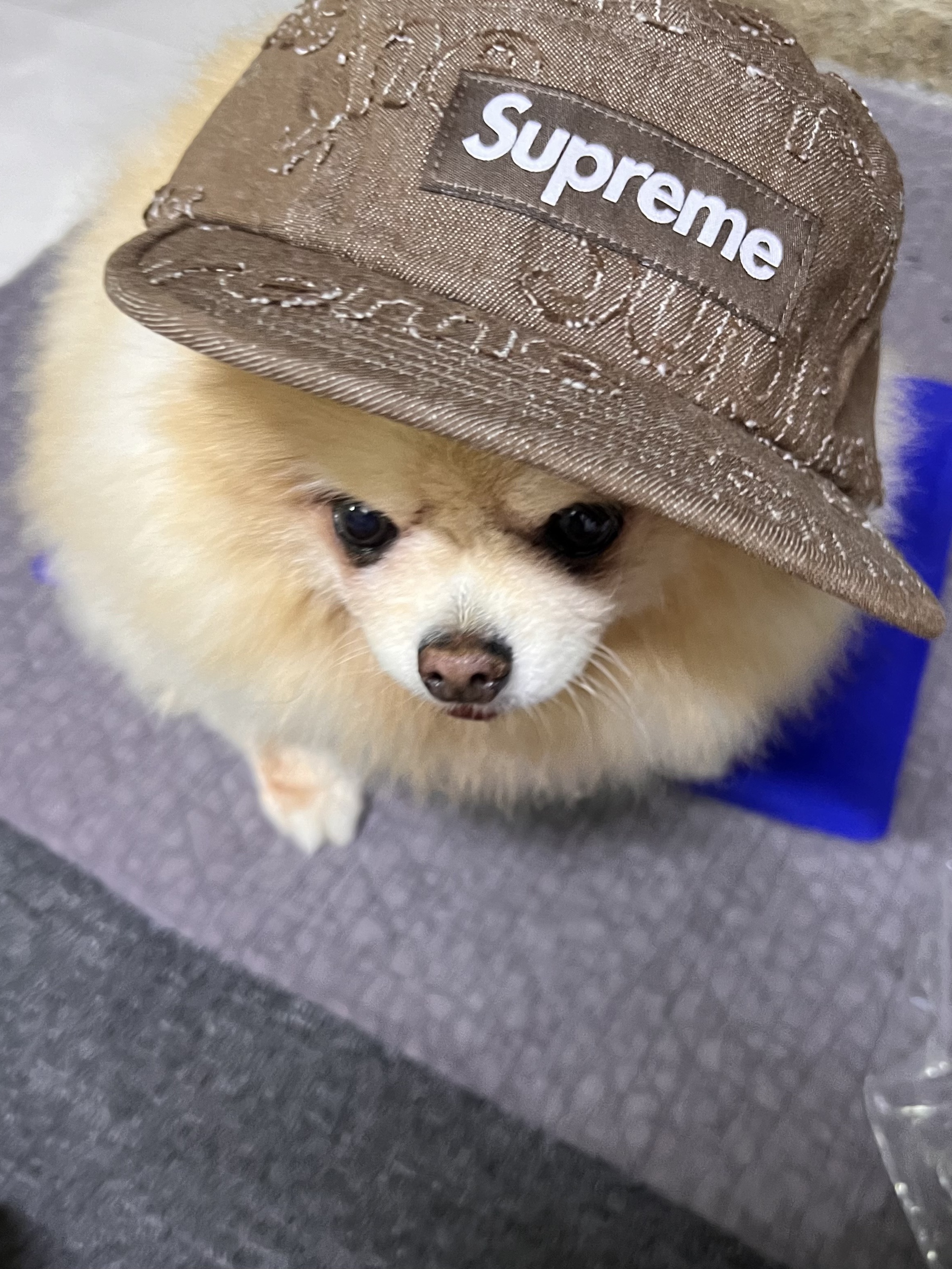 Supreme Lasered Denim Camp Cap Brown - 24FW, Supreme Lasered Denim Camp Cap Pink - 24FW 착용 스타일 - 1