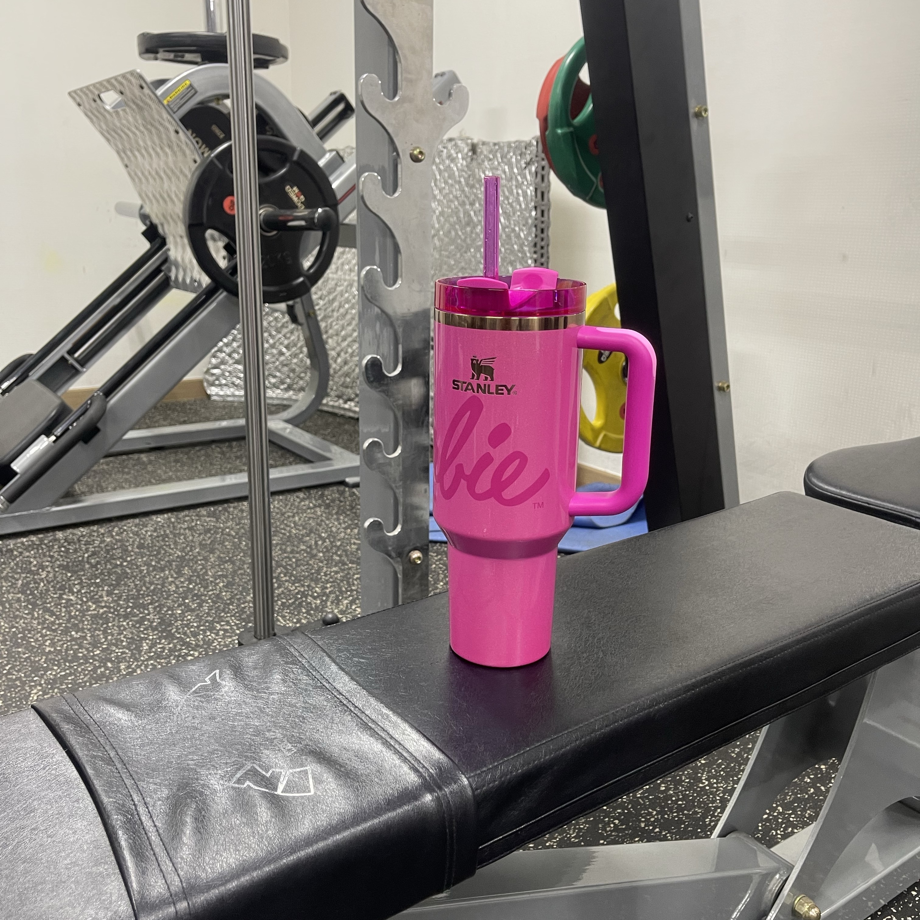 Stanley x Barbie Quencher H2.0 FlowState Tumbler 1.18L Barbie Icon Pink 착용 스타일
