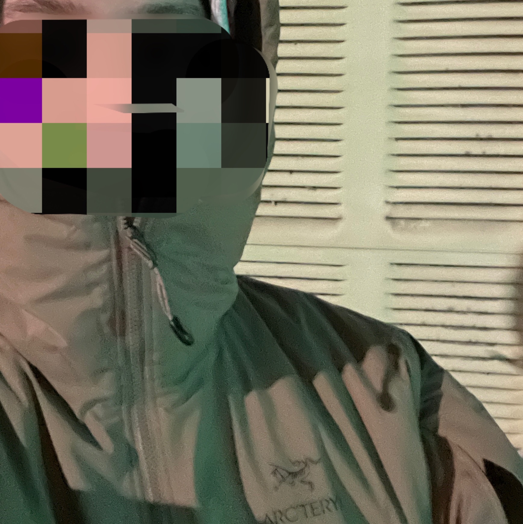 Arc'teryx LEAF Cold WX Hoody LT Gen 2 Crocodile 착용 스타일 - 1