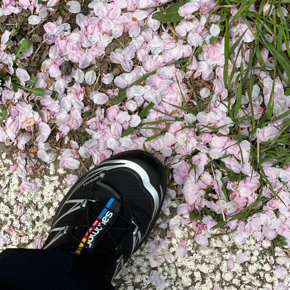 Salomon XT-6 GTX Black Silver 착용 스타일