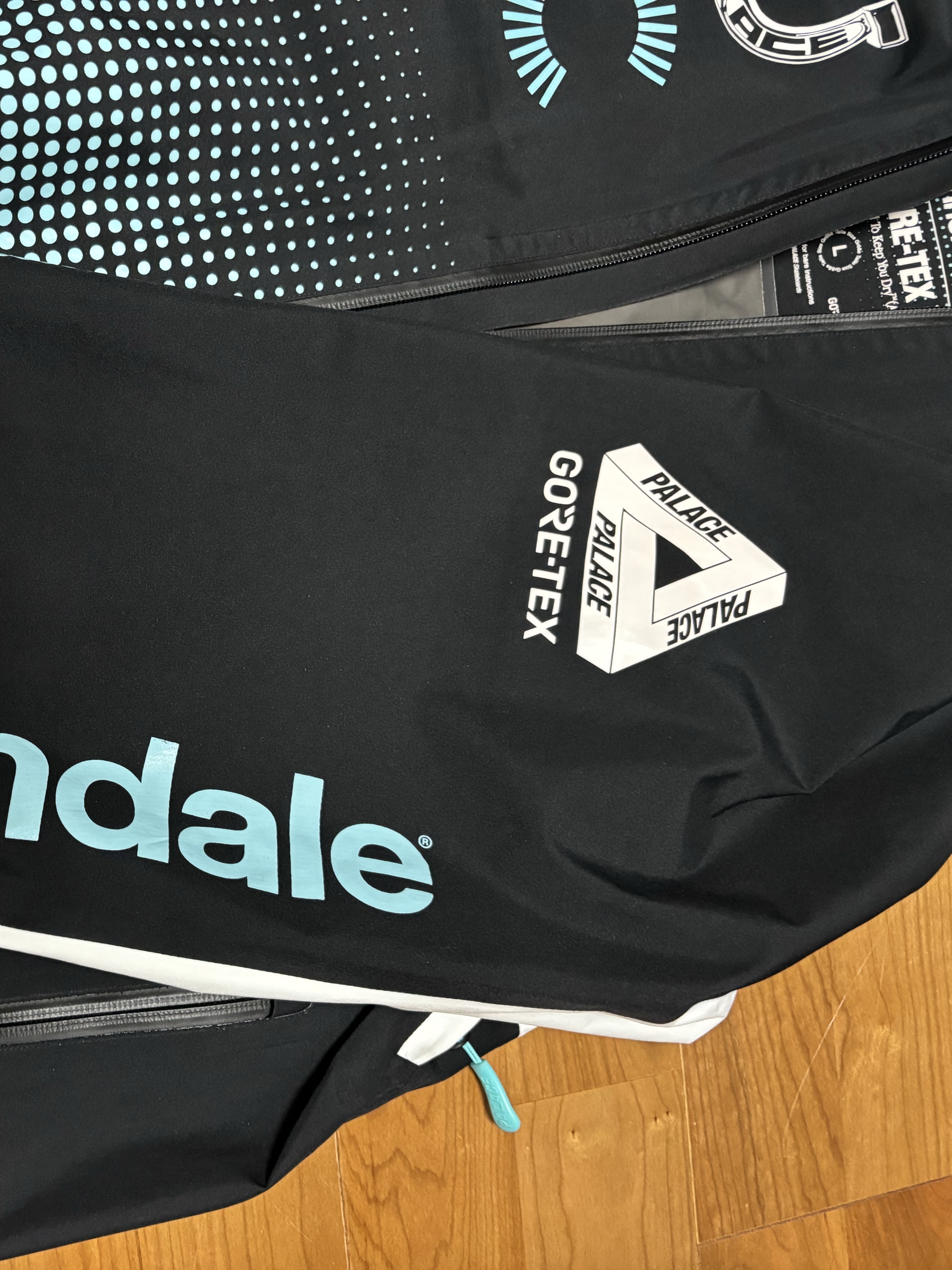 Palace x Cannondale Mad Boy Gore-Tex Paclite Jacket Black Mint - 21FW, Palace x Cannondale Mad Boy 6-Panel Black - 21FW 착용 스타일 - 5