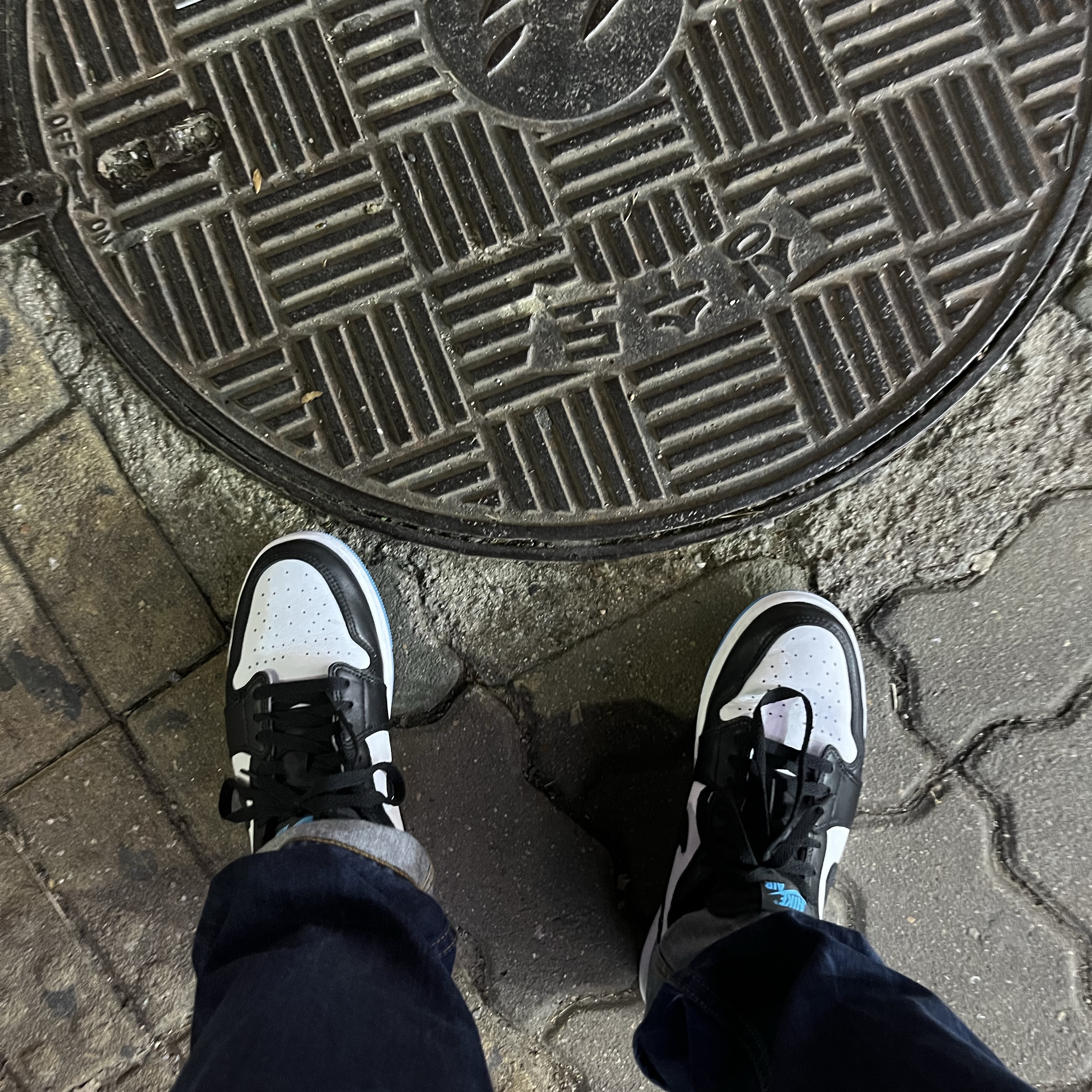 Jordan 1 Retro Low OG Black and Dark Powder Blue 착용 스타일