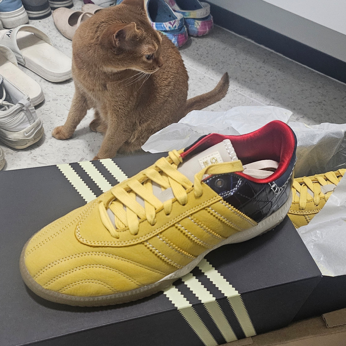 Adidas x Wales Bonner Samba MN Yellow St Fade Gold 착용 스타일 - 6