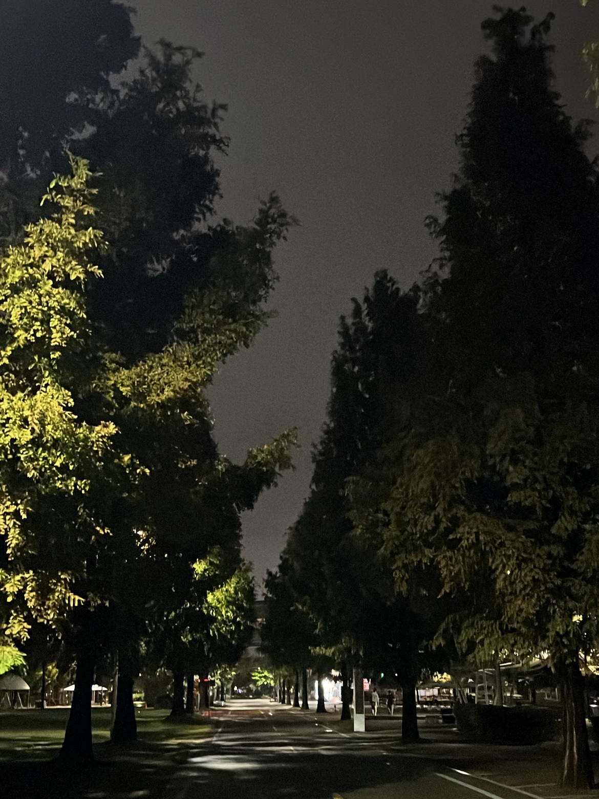 KREAM 스타일 - 6