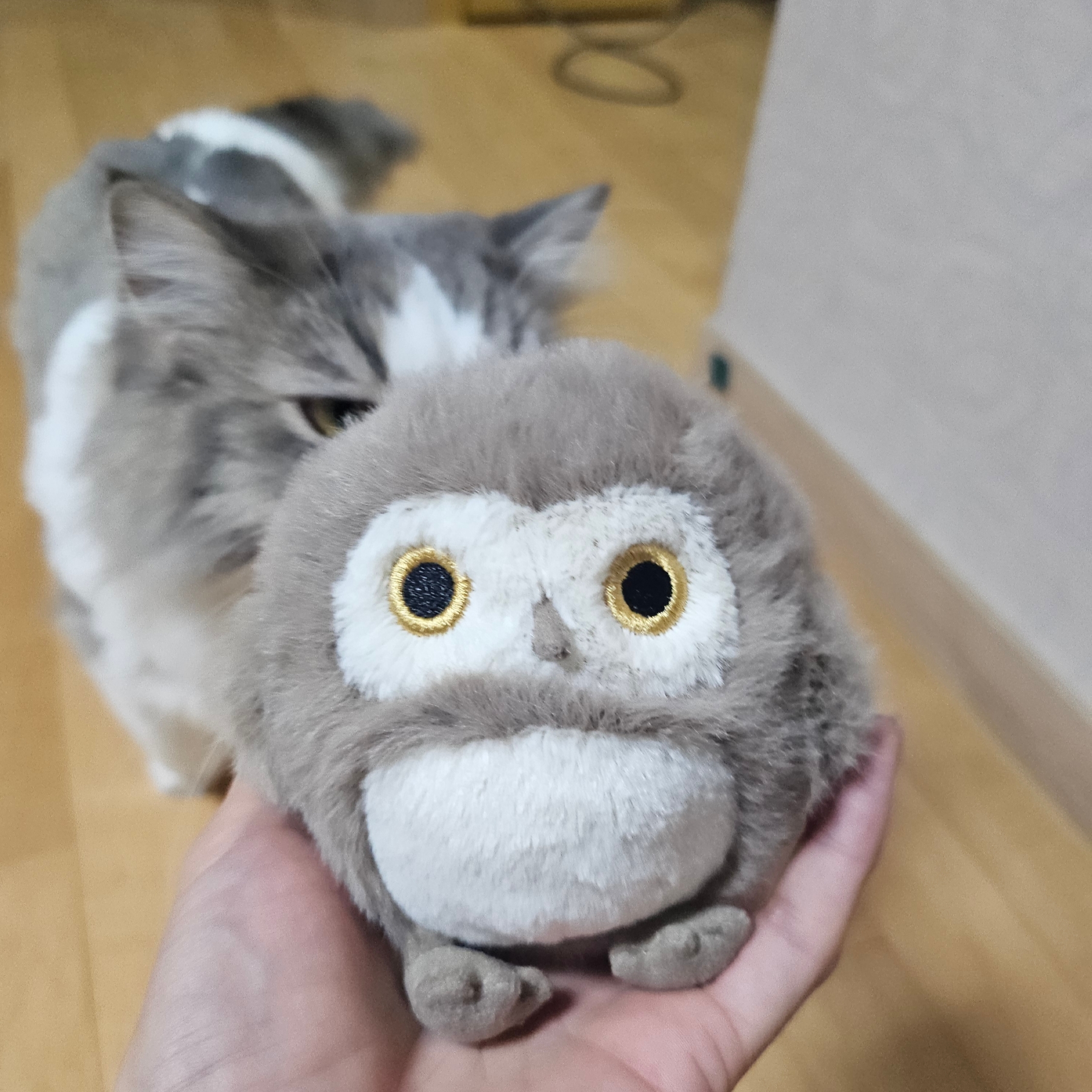 Jellycat Barn Owling Cream 착용 스타일