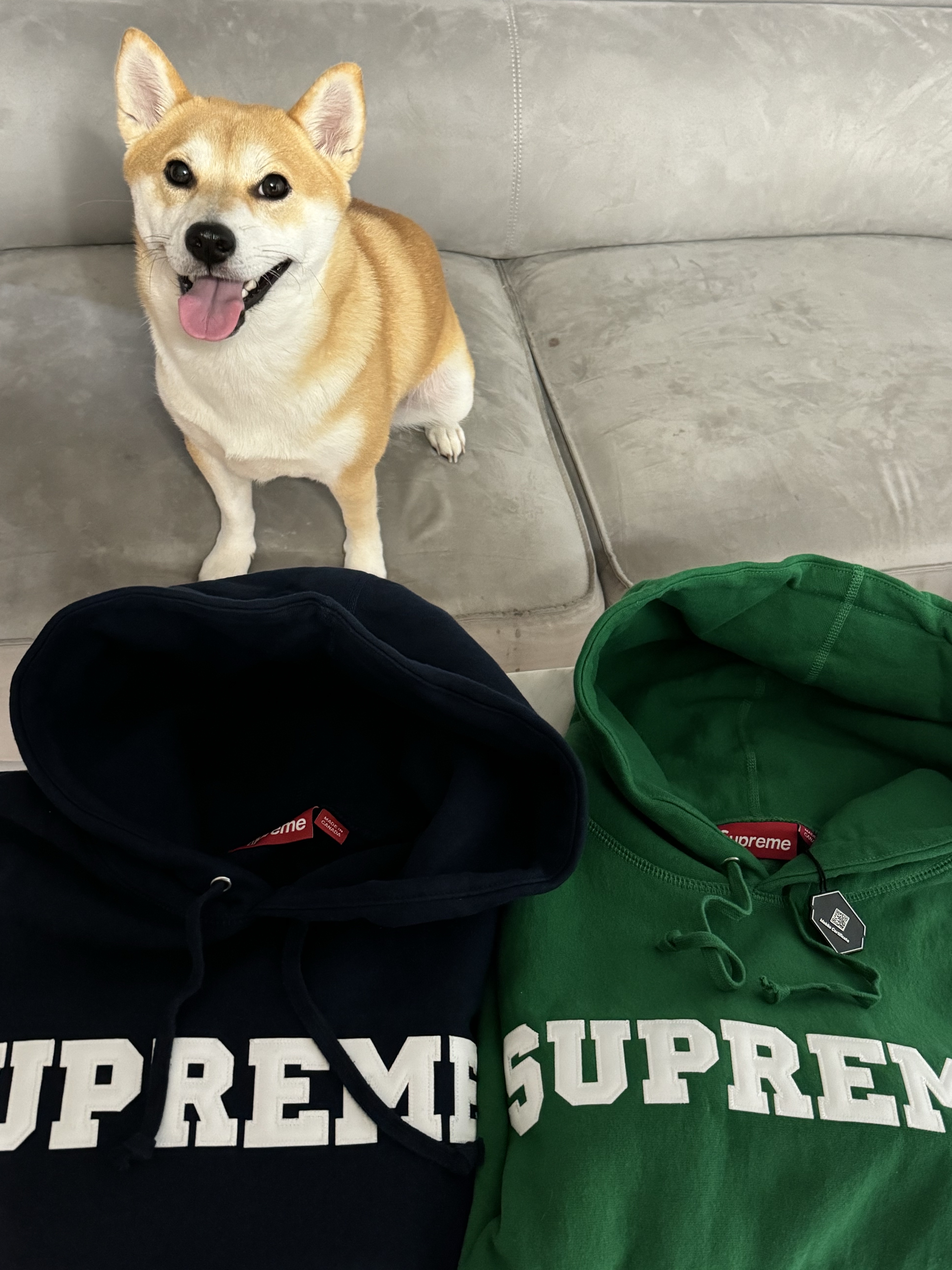 Supreme Collegiate Hooded Sweatshirt Dark Green - 24SS, Supreme Collegiate Hooded Sweatshirt Navy - 24SS 착용 스타일 - 2