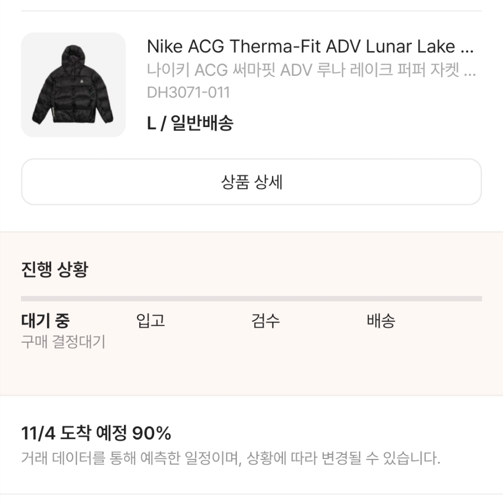 Nike ACG Therma-Fit ADV Lunar Lake Puffer Jacket Black - Asia 착용 스타일
