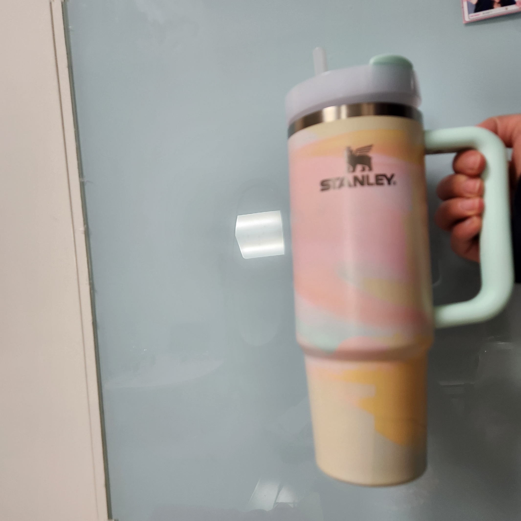 Stanley Quencher H2.0 FlowState Tumbler 887ml Warm Serene 착용 스타일