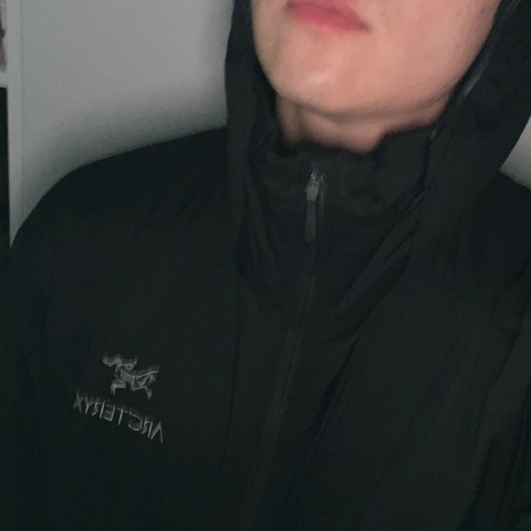Arc'teryx Atom Hoody Black 착용 스타일