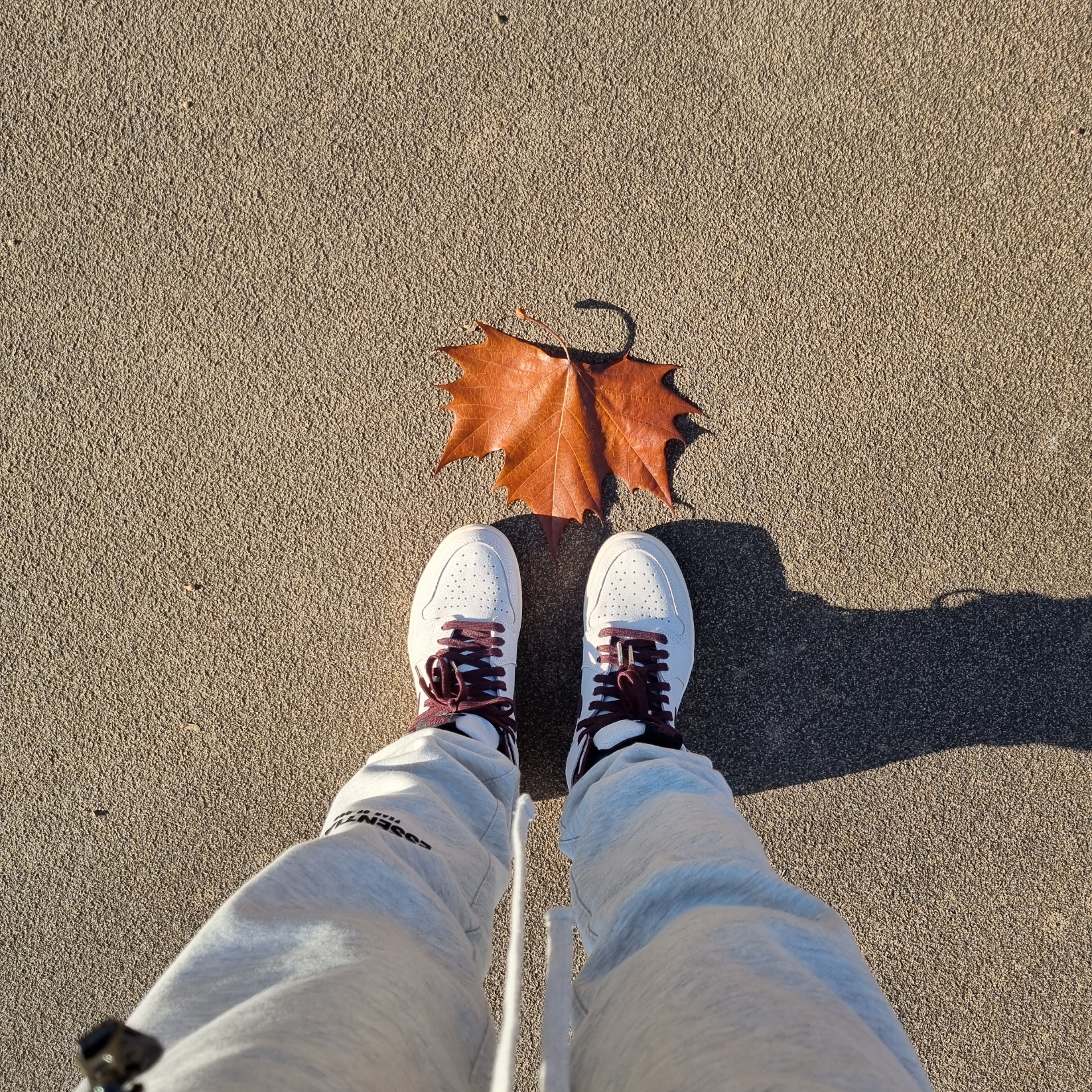 Jordan 1 x A Ma Maniere Retro High OG SP Sail and Burgundy 착용 스타일