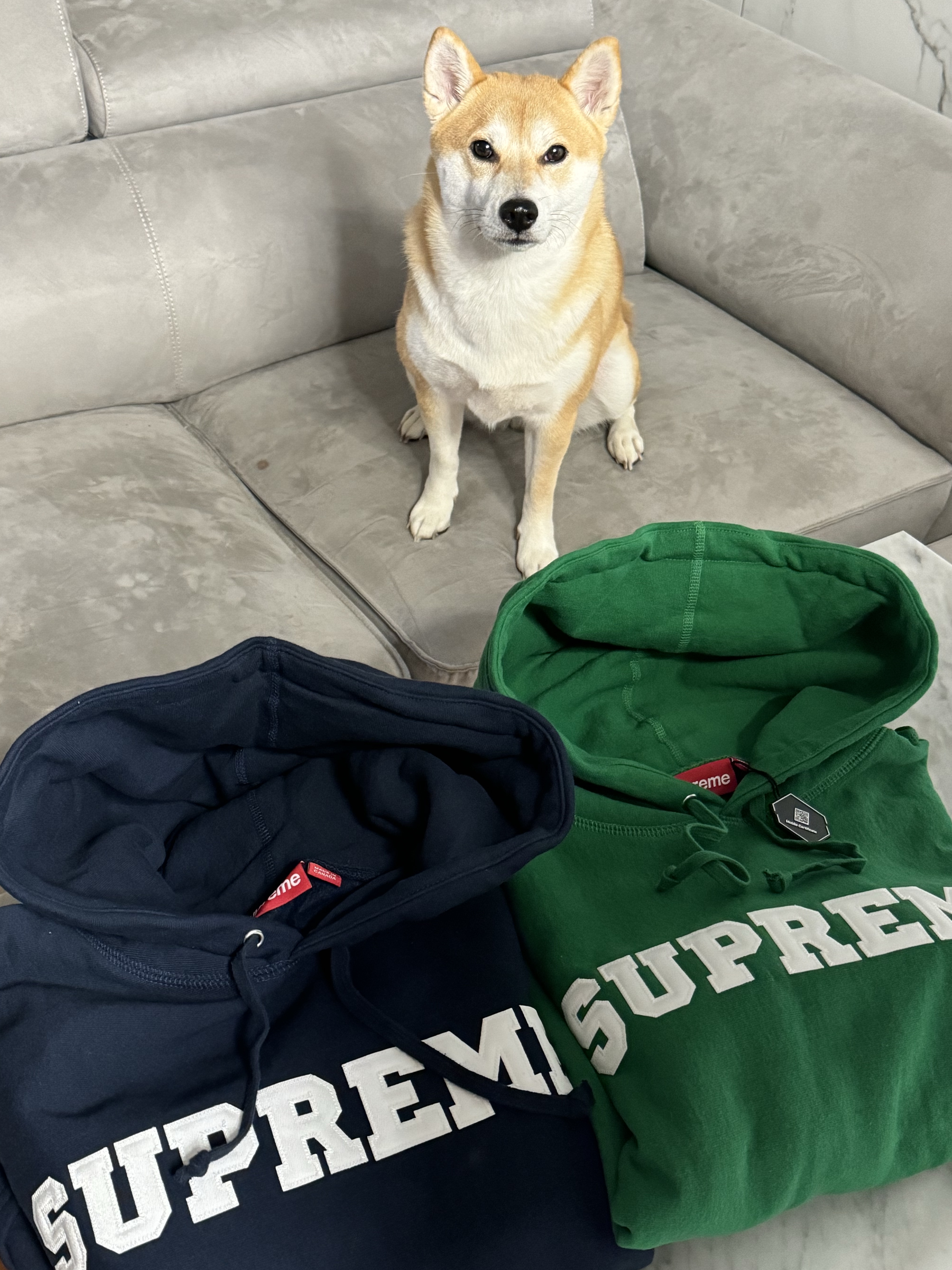 Supreme Collegiate Hooded Sweatshirt Dark Green - 24SS, Supreme Collegiate Hooded Sweatshirt Navy - 24SS 착용 스타일 - 1