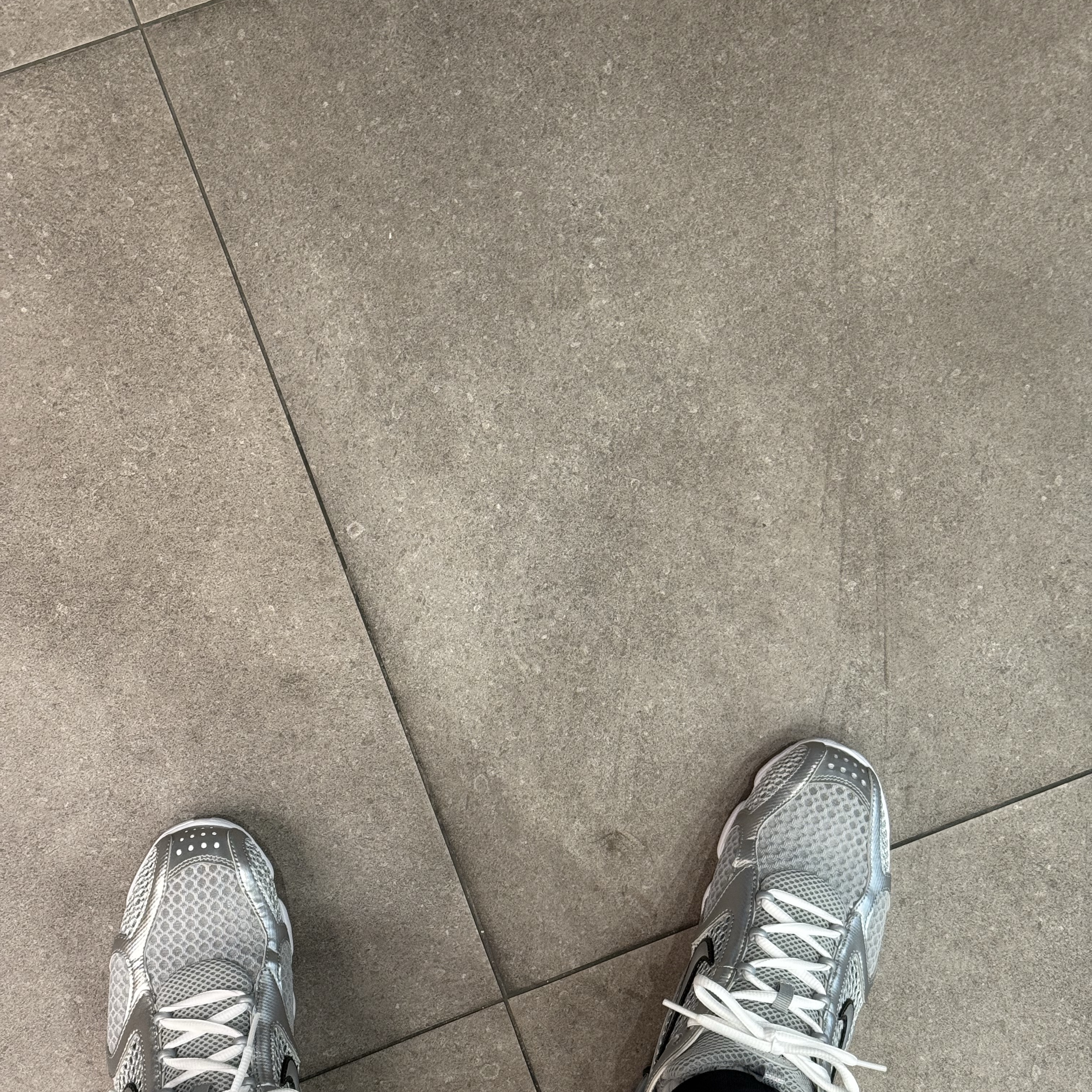 Nike Air Zoom Spiridon Cage 2 Metallic Silver 착용 스타일 - 2