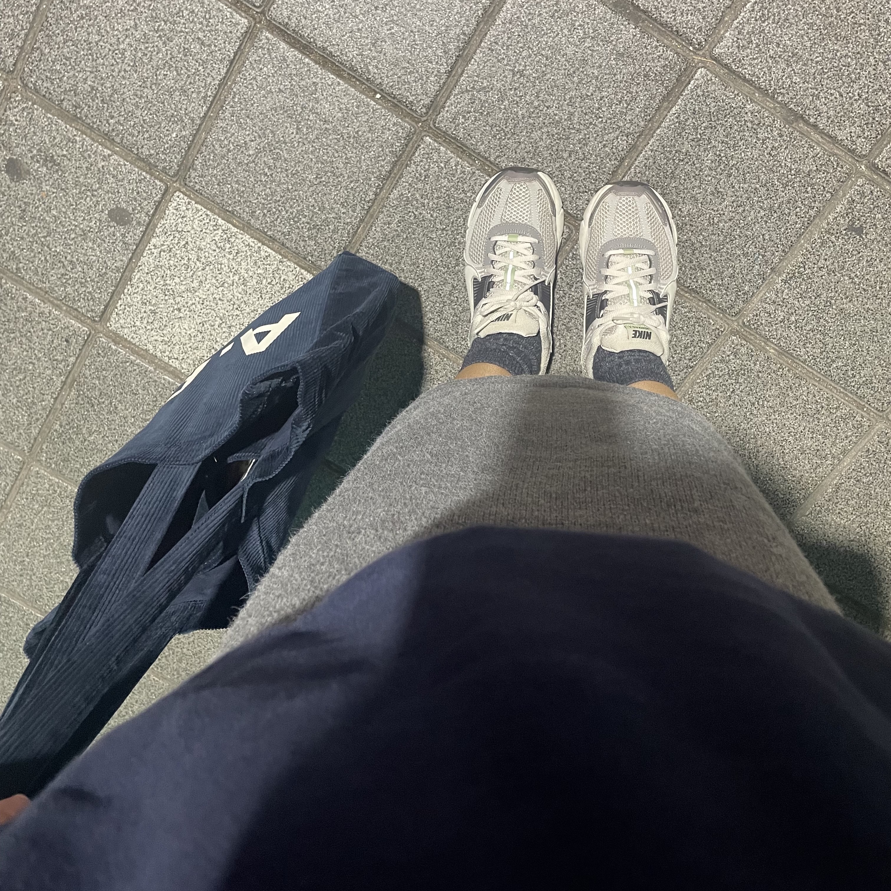 (W) Nike Zoom Vomero 5 Cobblestone and Flat Pewter 착용 스타일
