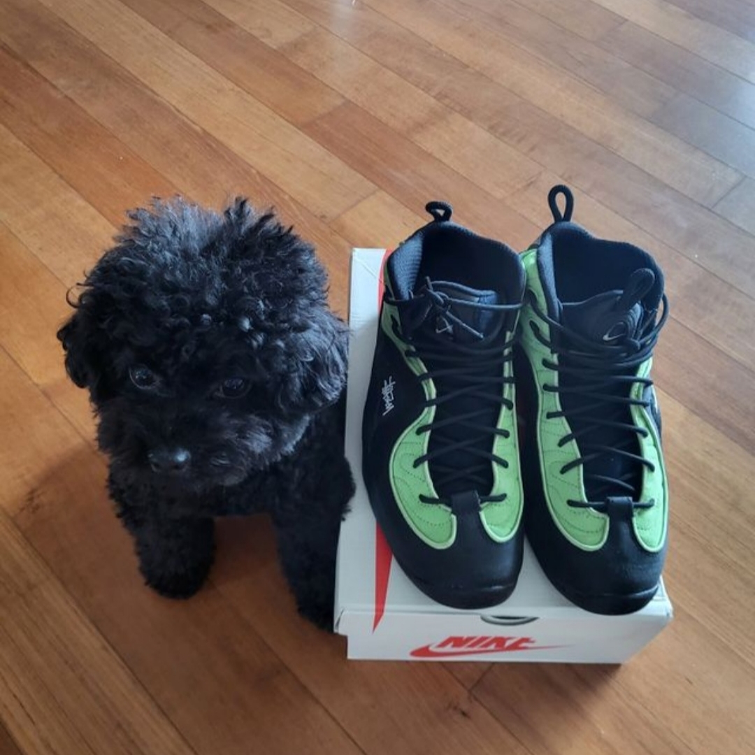 Nike x Stussy Air Penny II Vivid Green and Black, Jordan 1 Retro High OG Court Purple 2020 착용 스타일 - 2