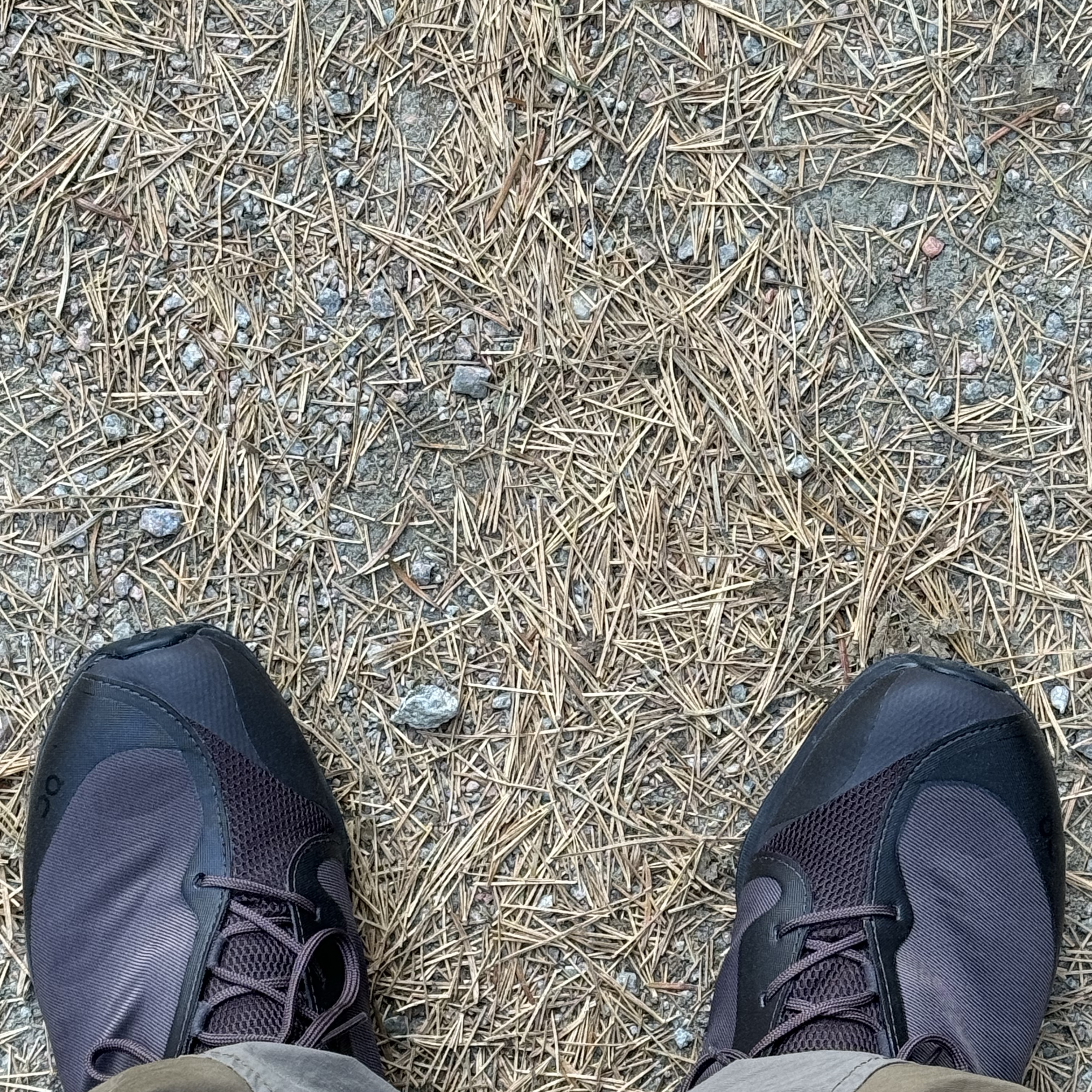 On Running x Post Archive Faction (Paf) Cloudventure Peak Cacao Espresso 착용 스타일 - 2