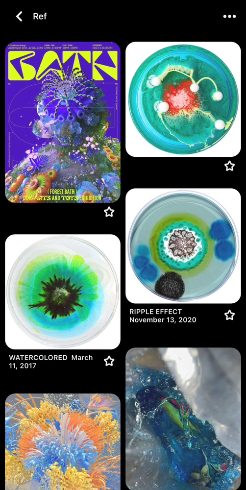 KREAM 프로필 이미지