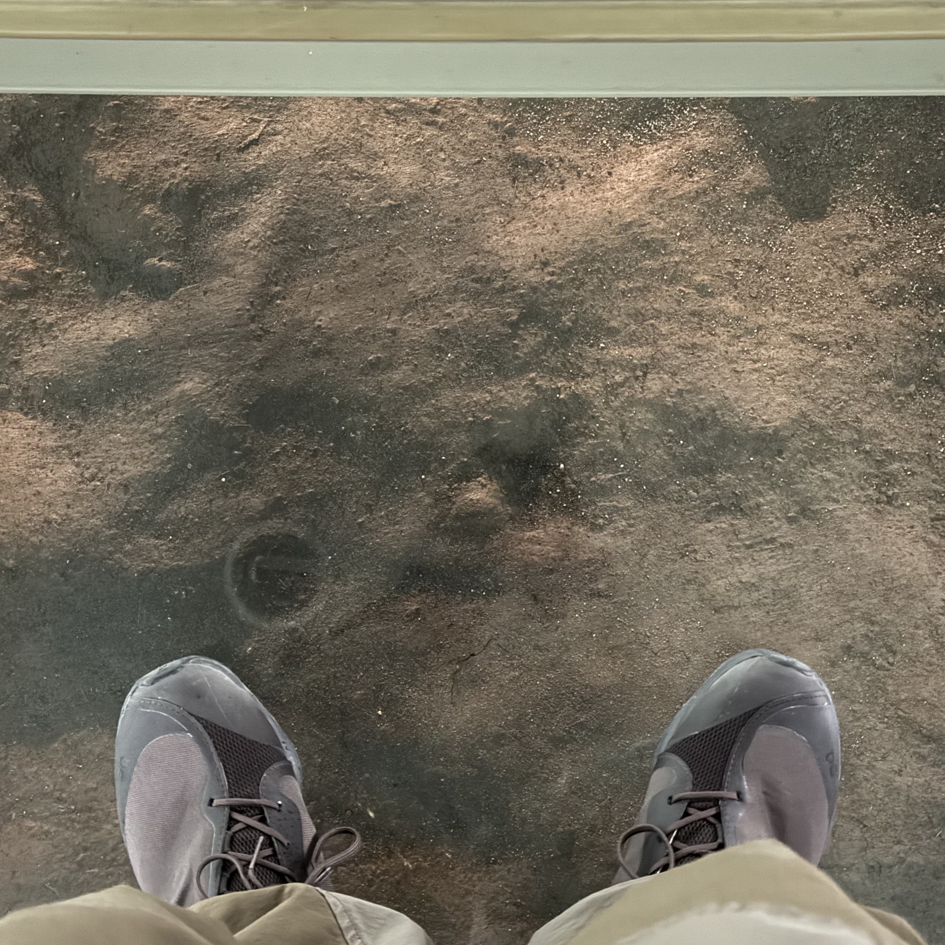 On Running x Post Archive Faction (Paf) Cloudventure Peak Cacao Espresso 착용 스타일 - 5