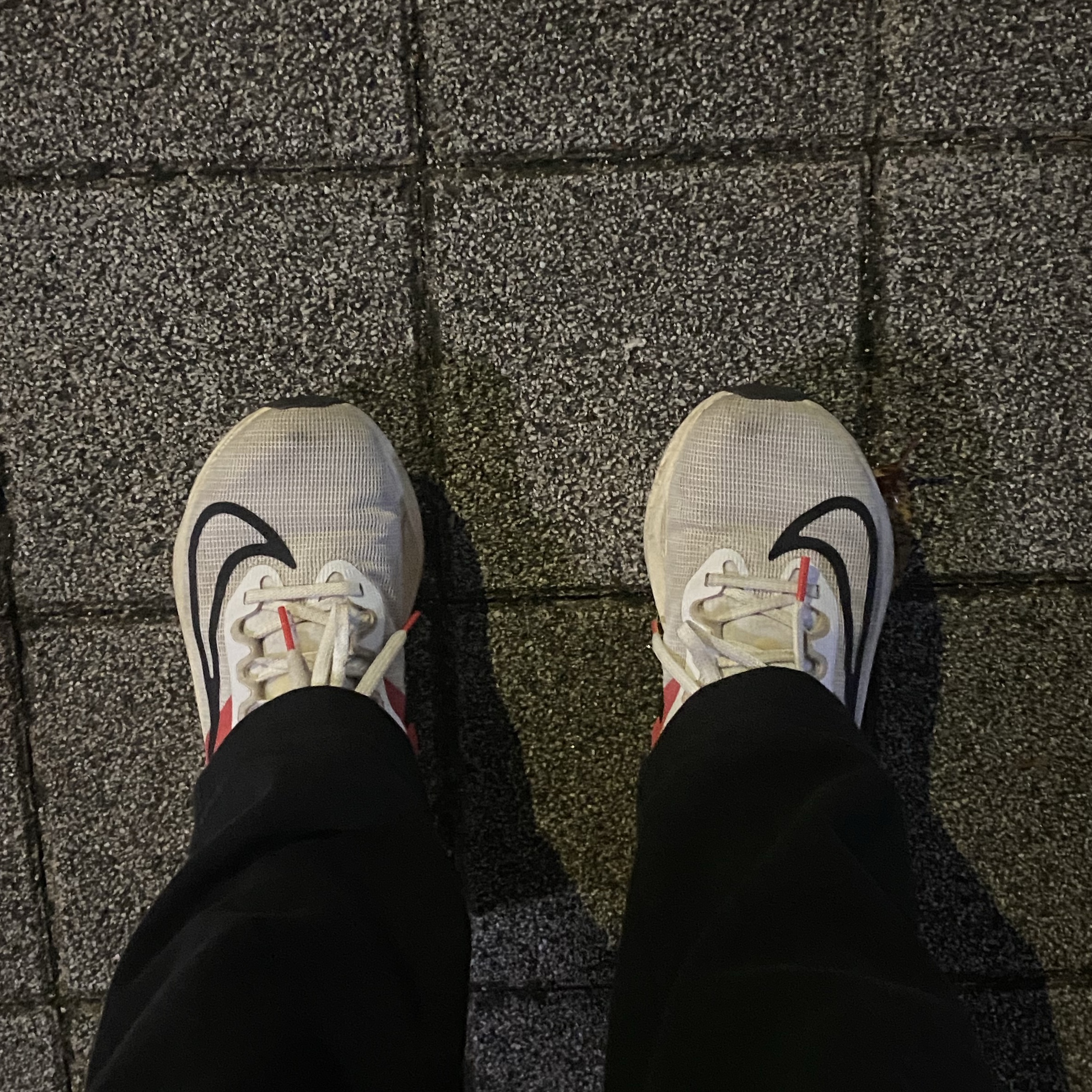 Nike Zoom Fly 5 Eliud Kipchoge 착용 스타일