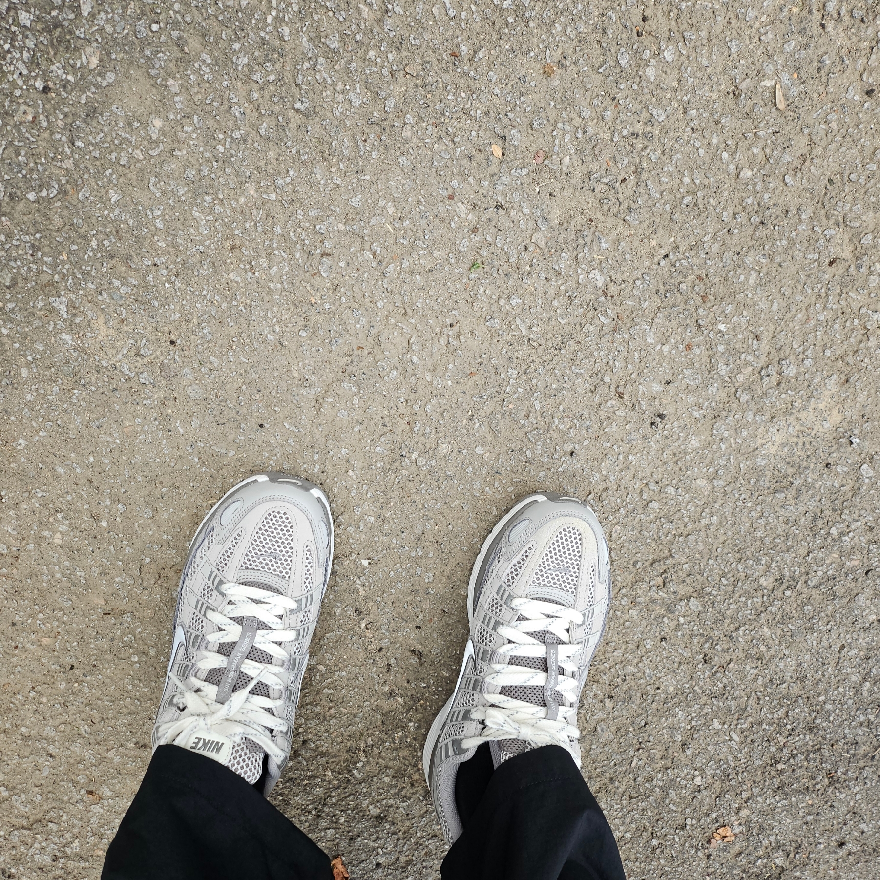 Nike P-6000 PRM Light Iron Ore 착용 스타일 - 2