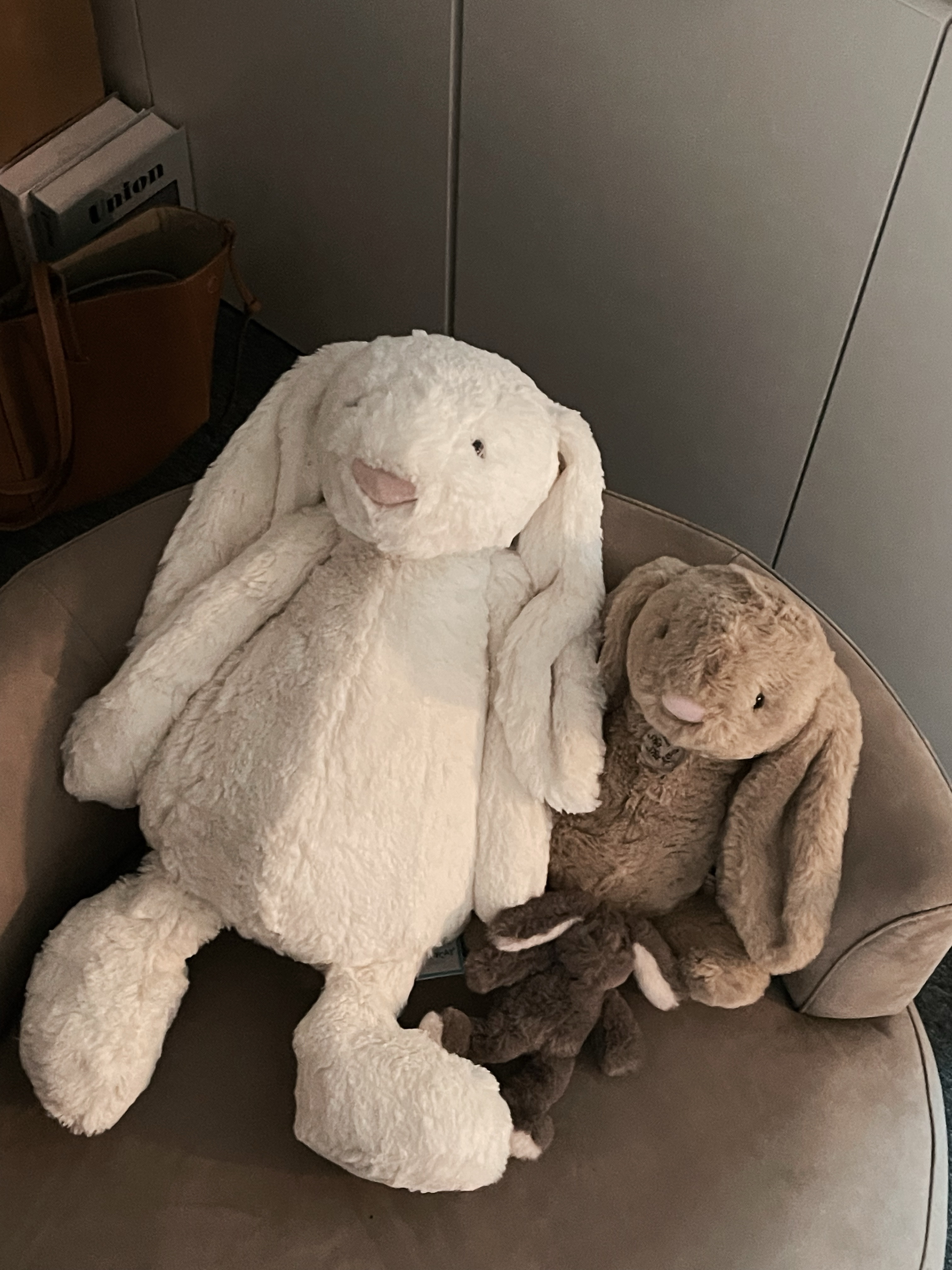 Jellycat Bashful Bunny Large Cream, Jellycat Bashful Bunny Large Beige 착용 스타일 - 1