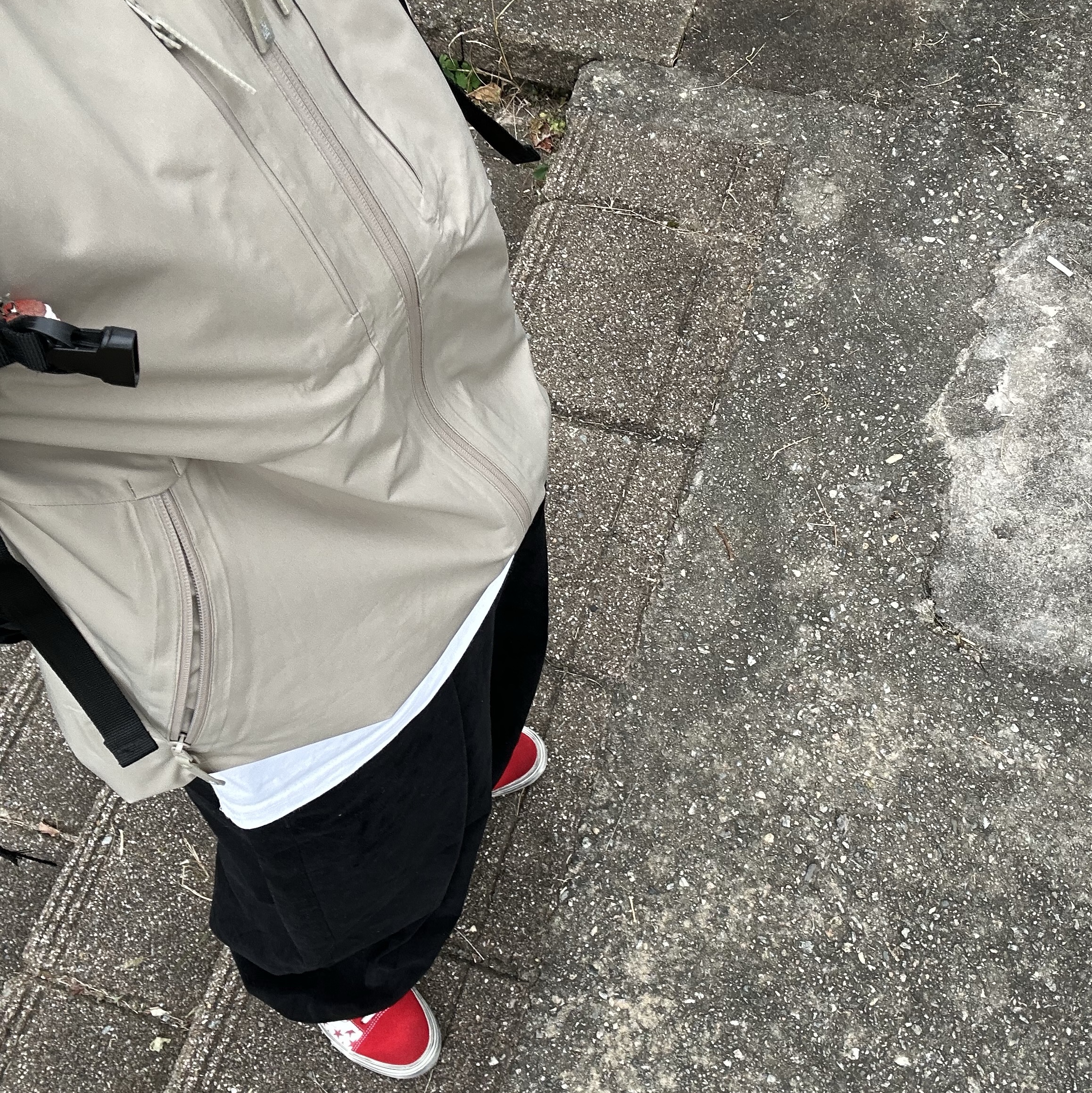 Vans Vault x Bianca Chandon Old Skool LX Stressed Red White 착용 스타일