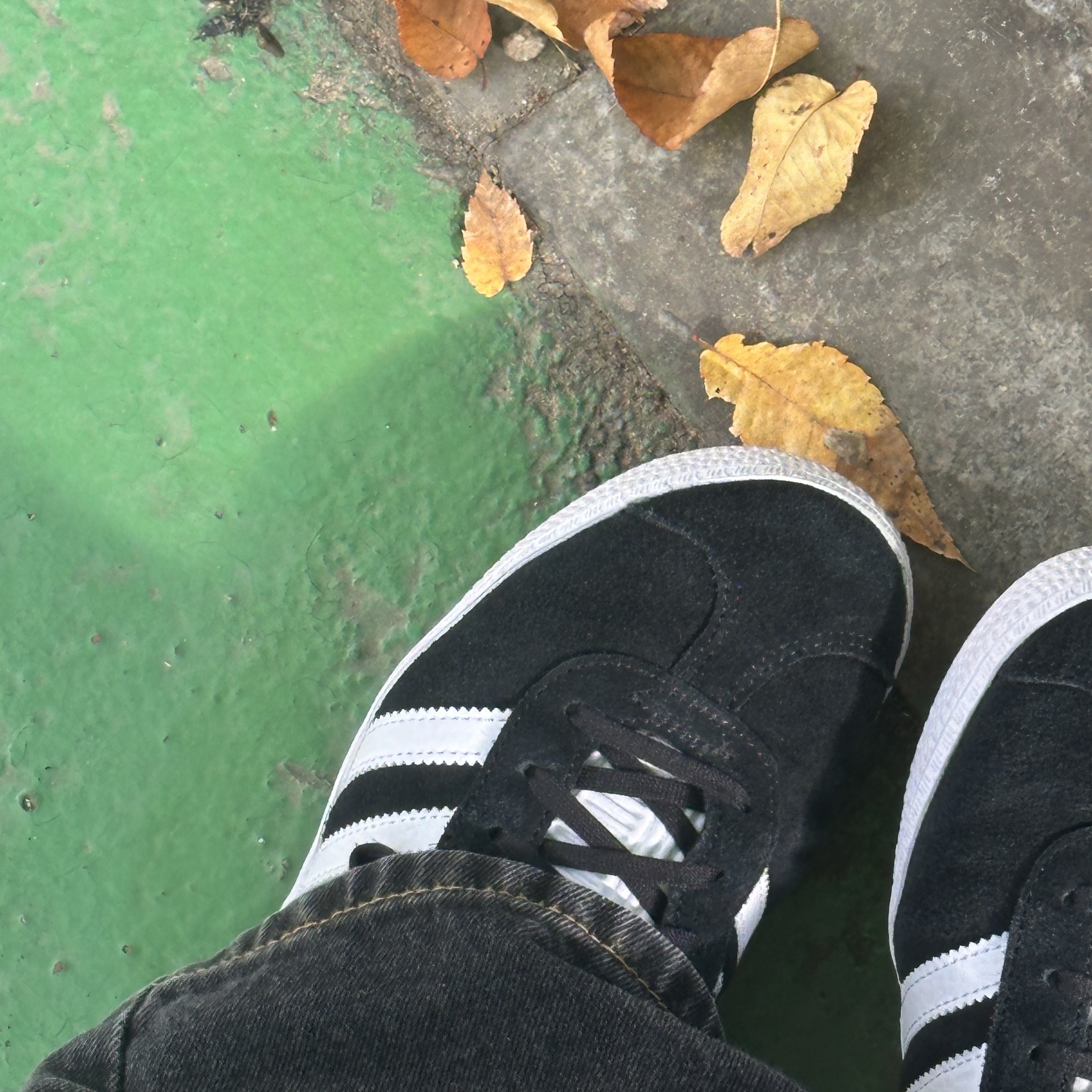 (J) Adidas Gazelle Core Black Cloud White 착용 스타일