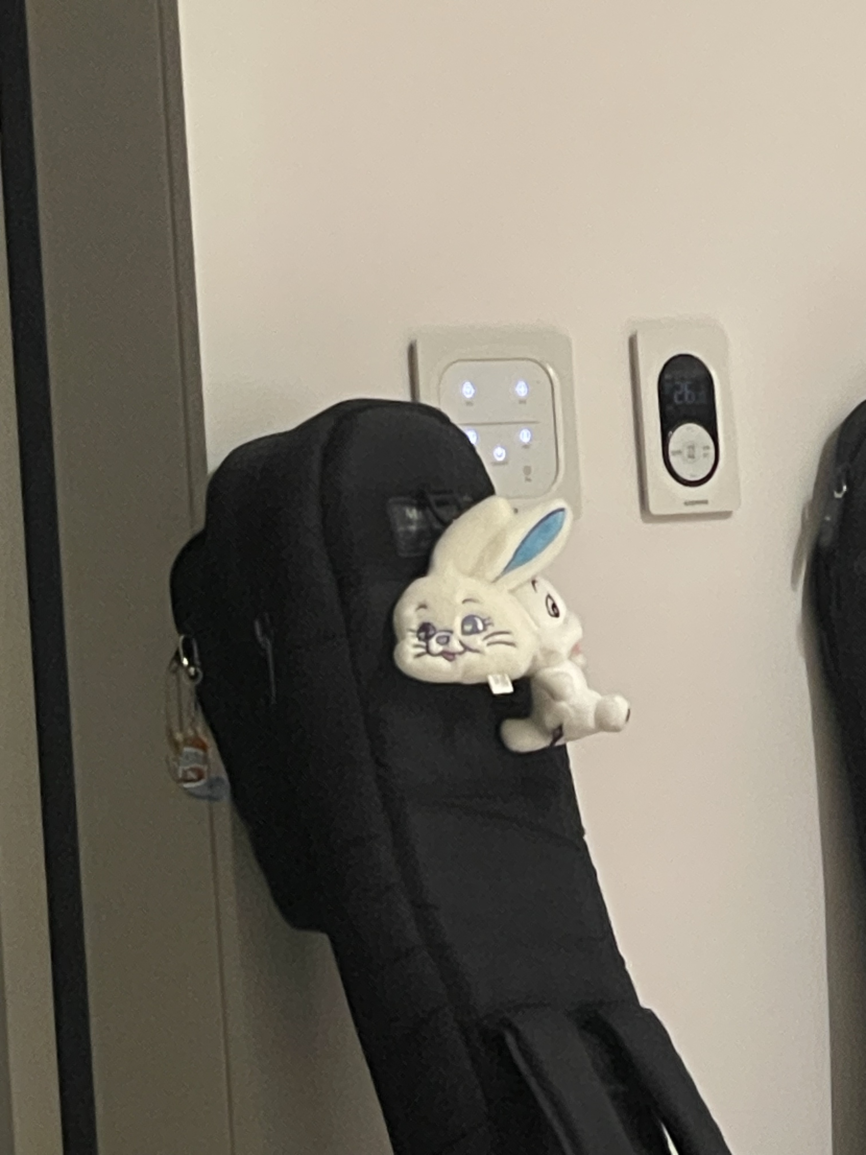 NewJeans Tokki Merchandise Fluffy Keyring White, Darkr8m Studio x Dooly Dooly Keyring White 착용 스타일