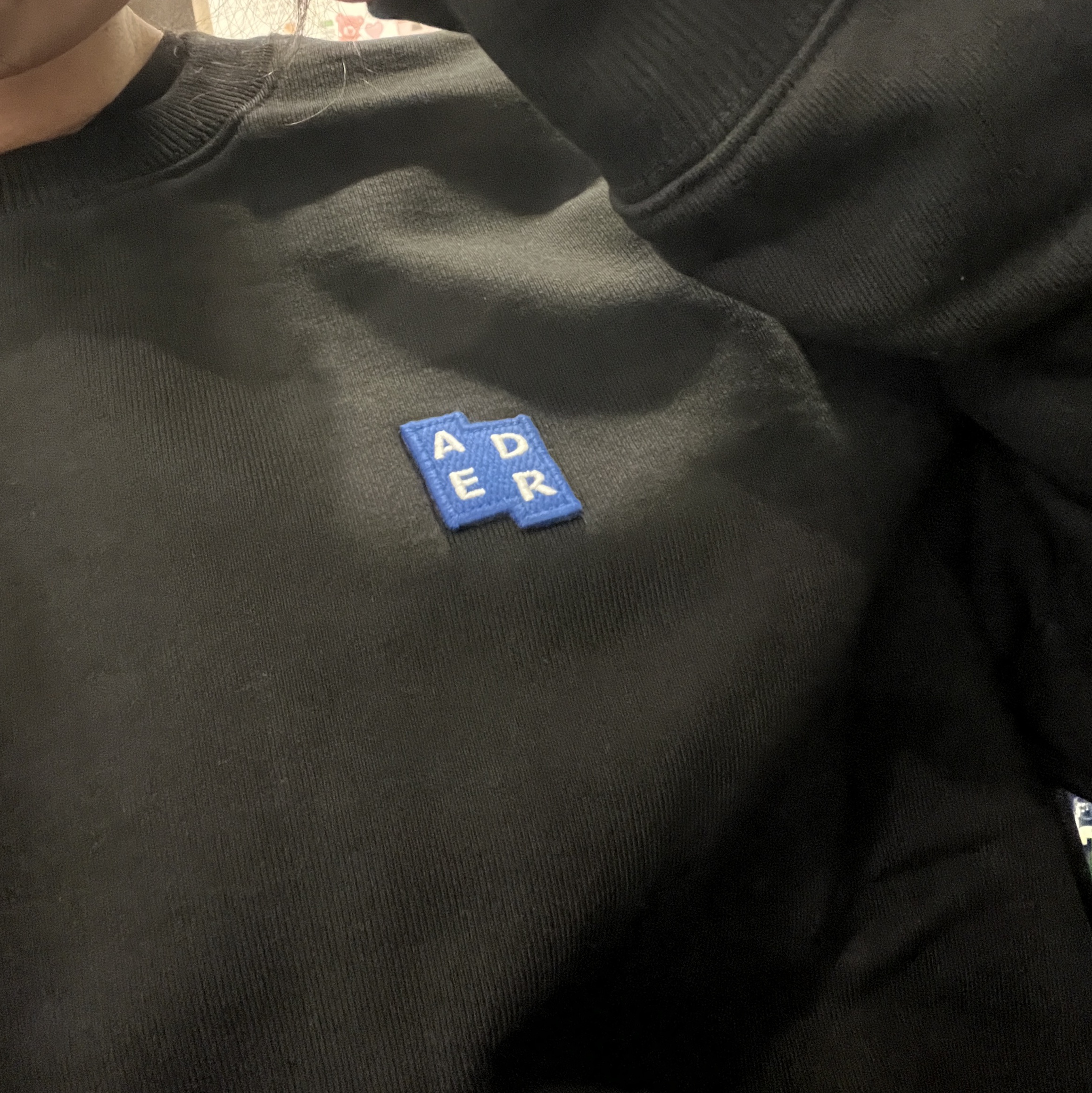 Ader Error Sig; TRS/BL Tag Sweatshirt 01 Black 착용 스타일