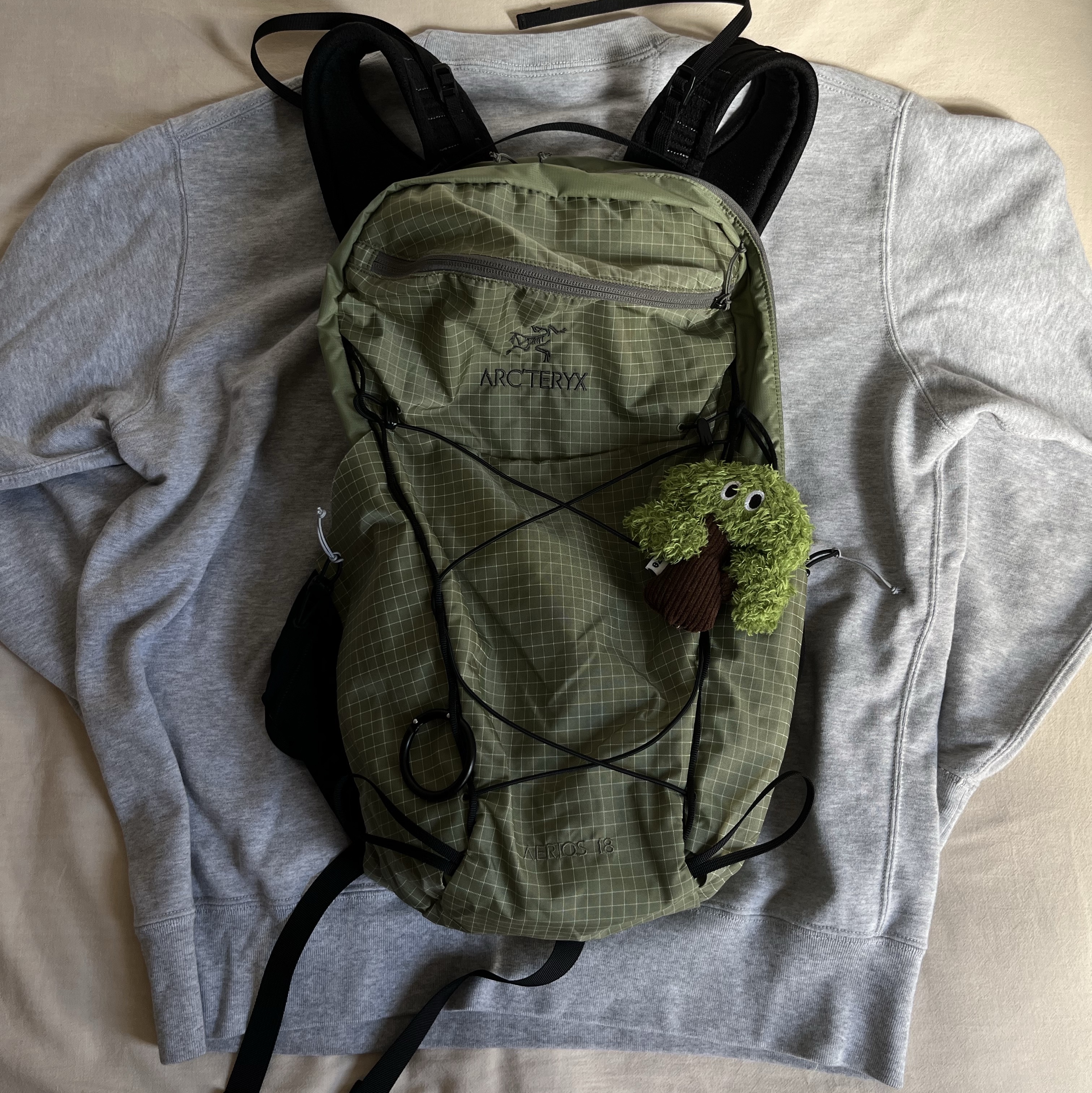 Arc'teryx Aerios 18 Backpack Chloris Forage 착용 스타일 - 2