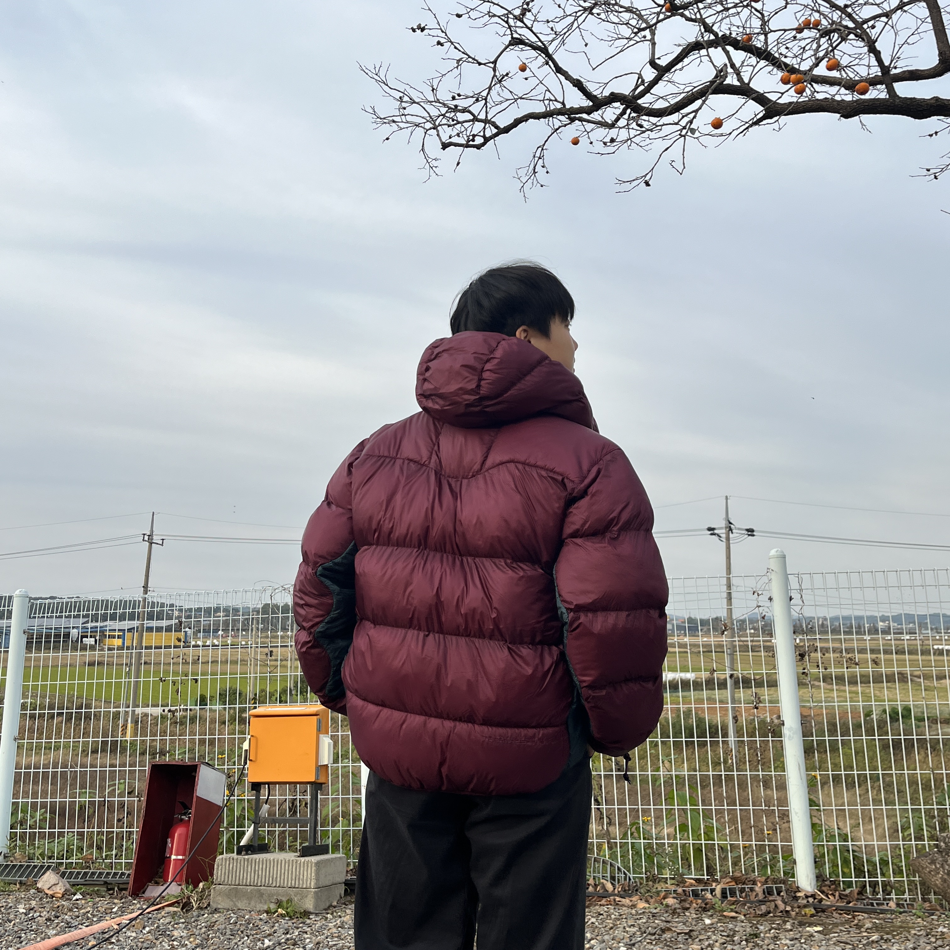 Nike ACG Therma-Fit ADV Lunar Lake Puffer Jacket Night Maroon - Asia 착용 스타일 - 2