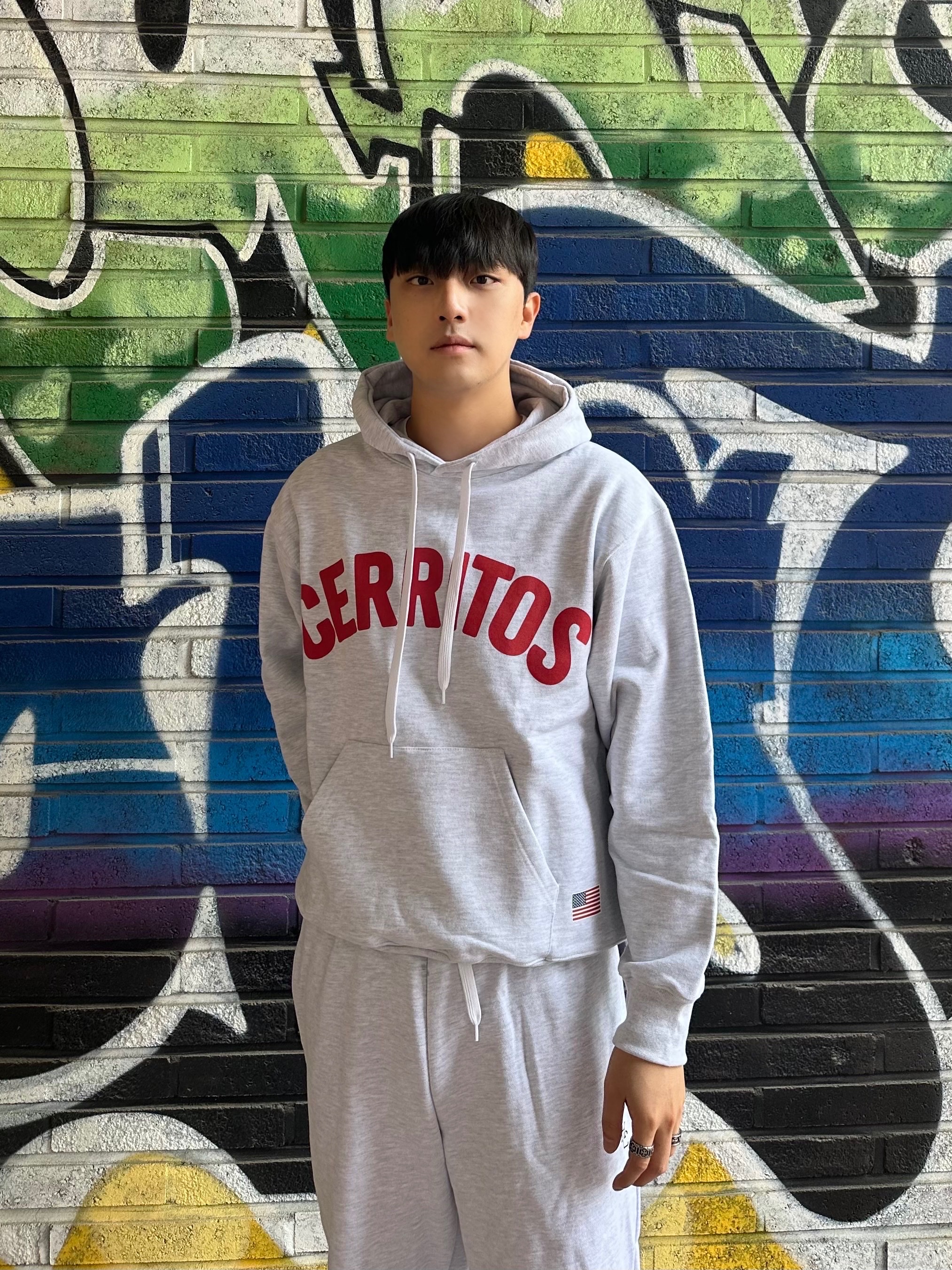 Nike x Peaceminusone Air Force 1 Low Para-Noise, Hotel Cerritos Cerritos Hoody MelangeGray 착용 스타일 - 3