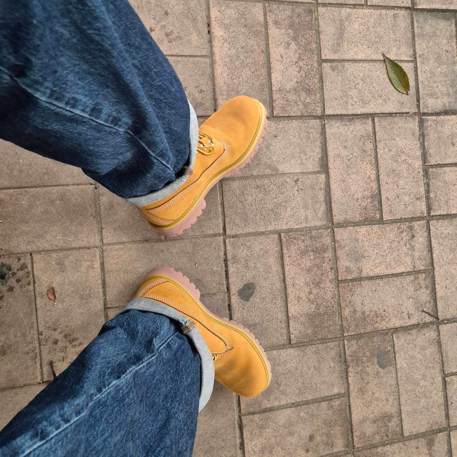 Timberland Premium 6 inch Waterproof Boot Wheat Nubuck - Wide 착용 스타일