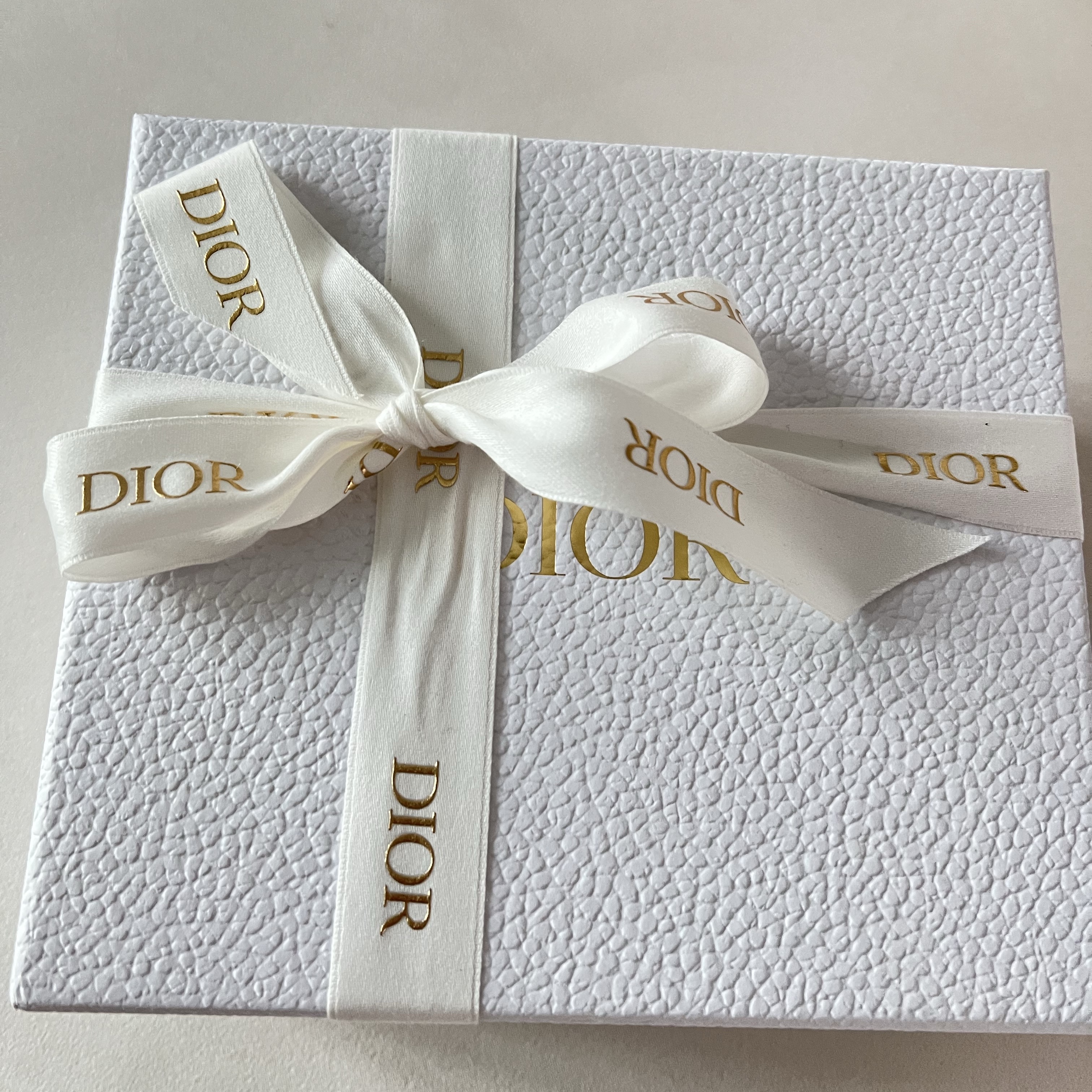 Dior Goatskin Saddle Flap Card Holder Black 착용 스타일