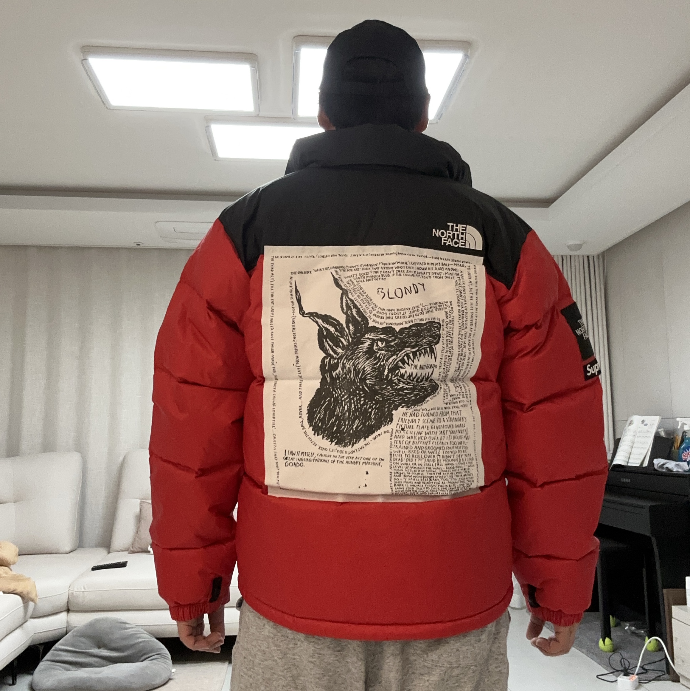 Supreme x The North Face Nuptse Jacket Red - 24FW 착용 스타일 - 2