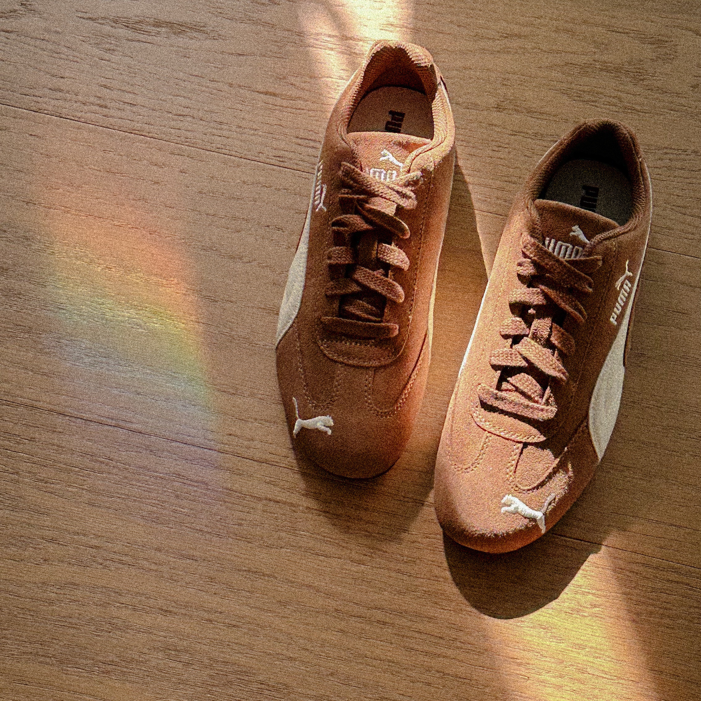 Puma Speedcat Archive Haute Coffee Frosted Ivory, (W) Puma Speedcat Archive Haute Coffee Frosted Ivory 착용 스타일 - 1