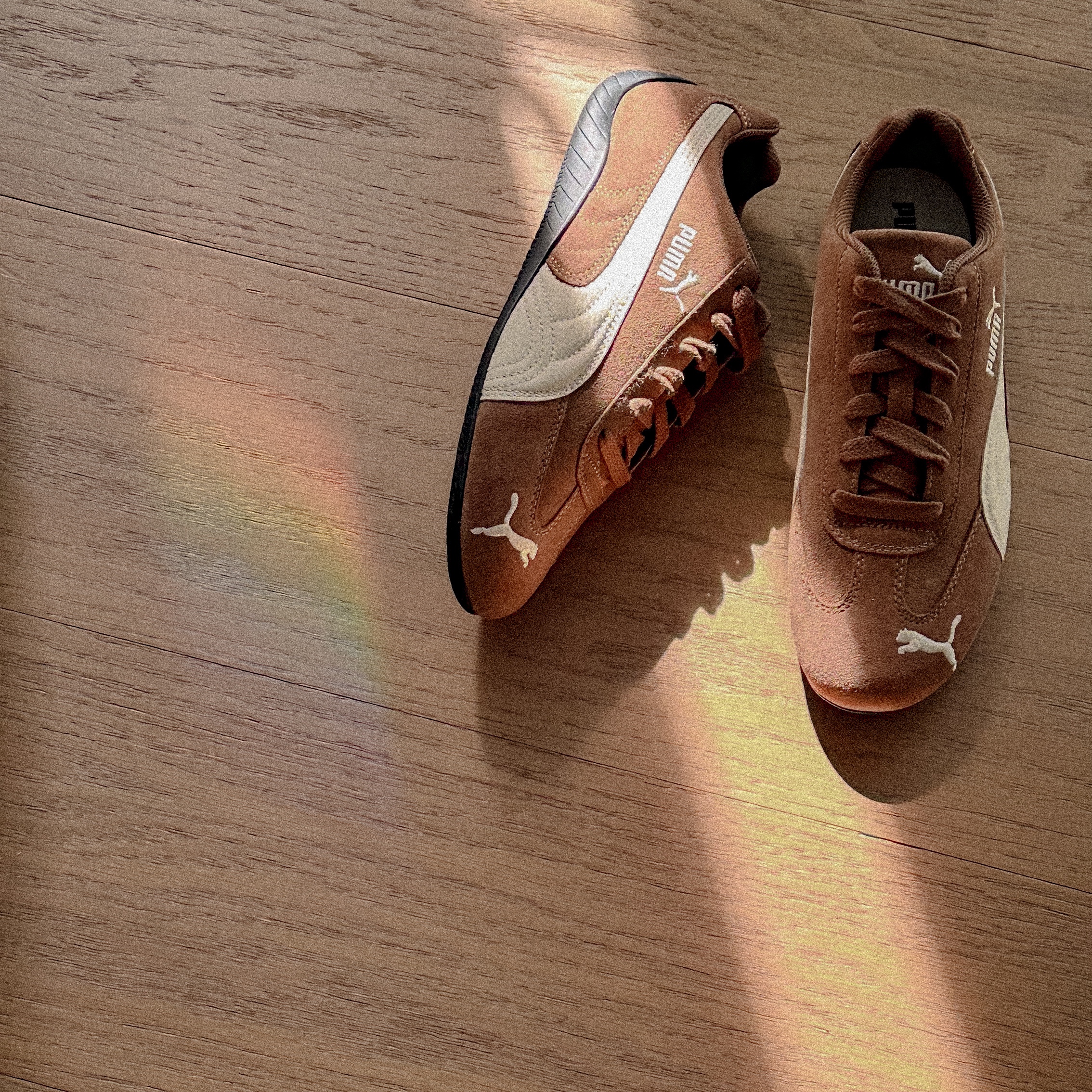 Puma Speedcat Archive Haute Coffee Frosted Ivory, (W) Puma Speedcat Archive Haute Coffee Frosted Ivory 착용 스타일 - 4