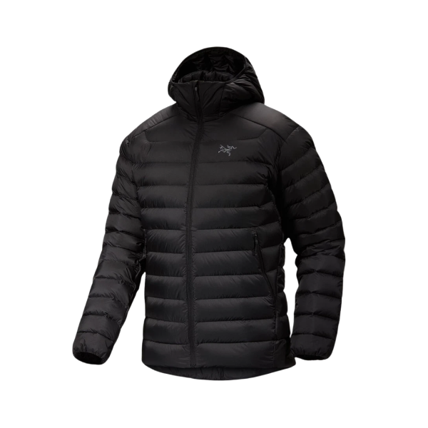 투표 선택 이미지